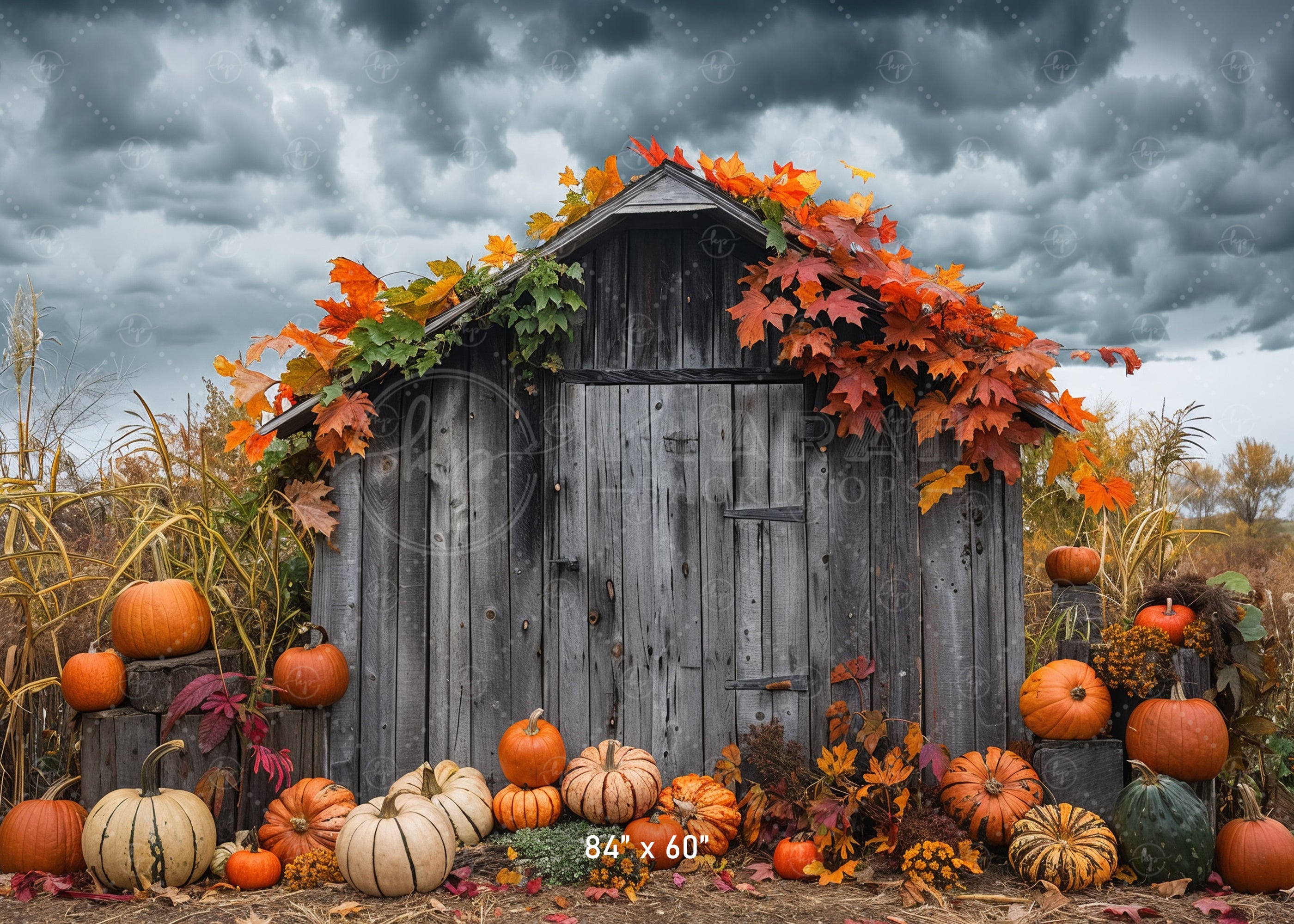 Rustic Autumn Shed with Pumpkins Backdrop