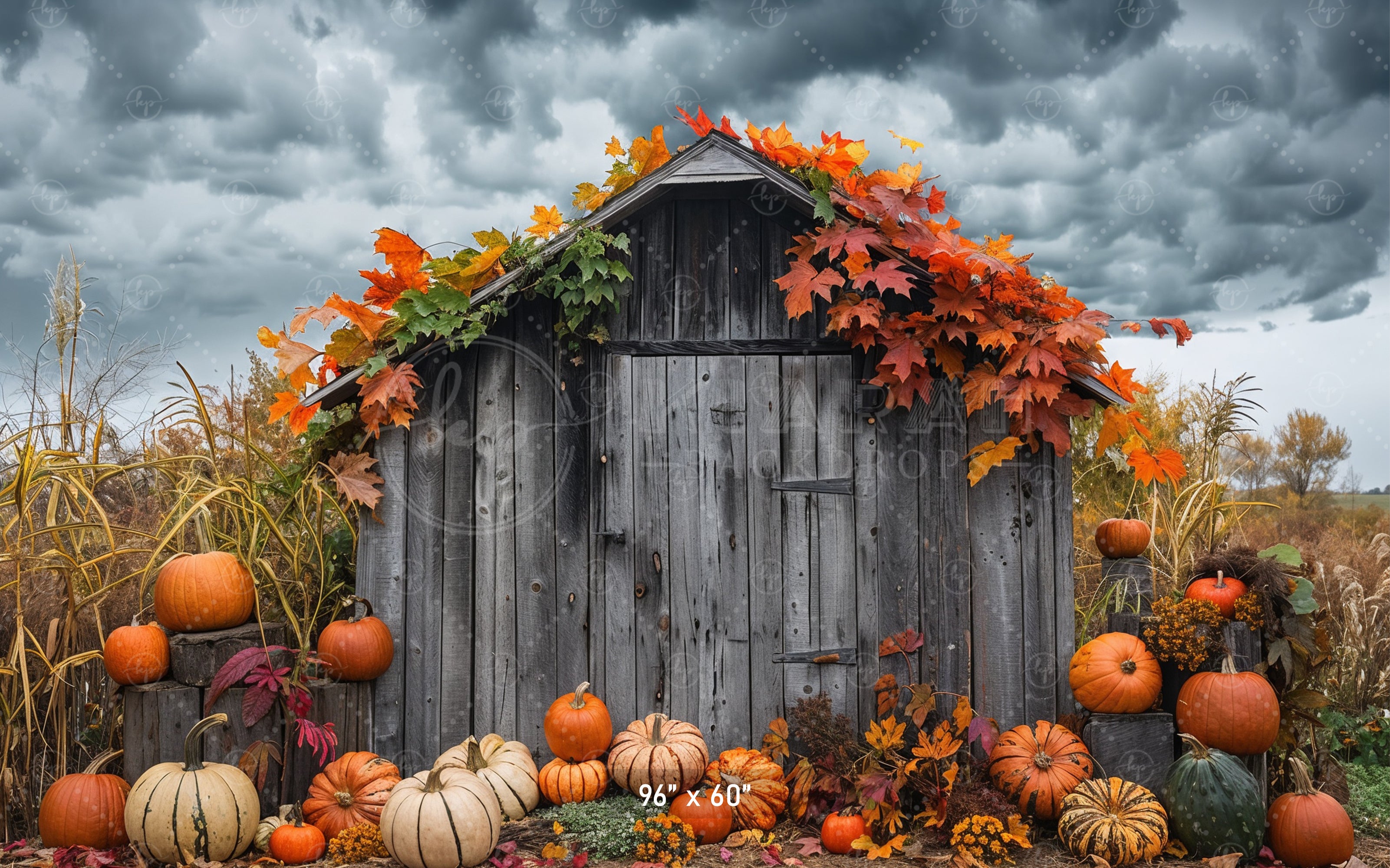 Rustic Autumn Shed with Pumpkins Backdrop