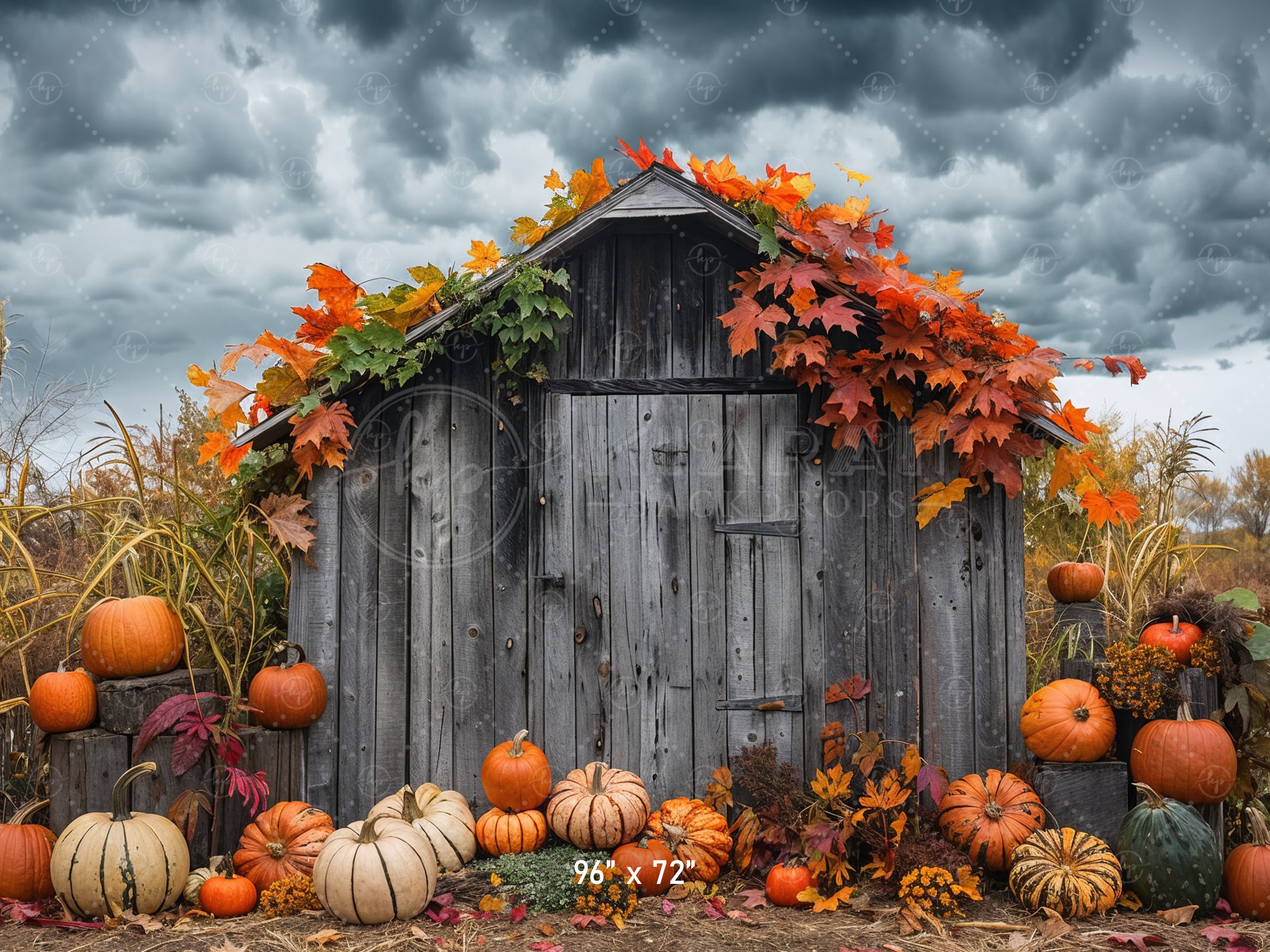 Rustic Autumn Shed with Pumpkins Backdrop