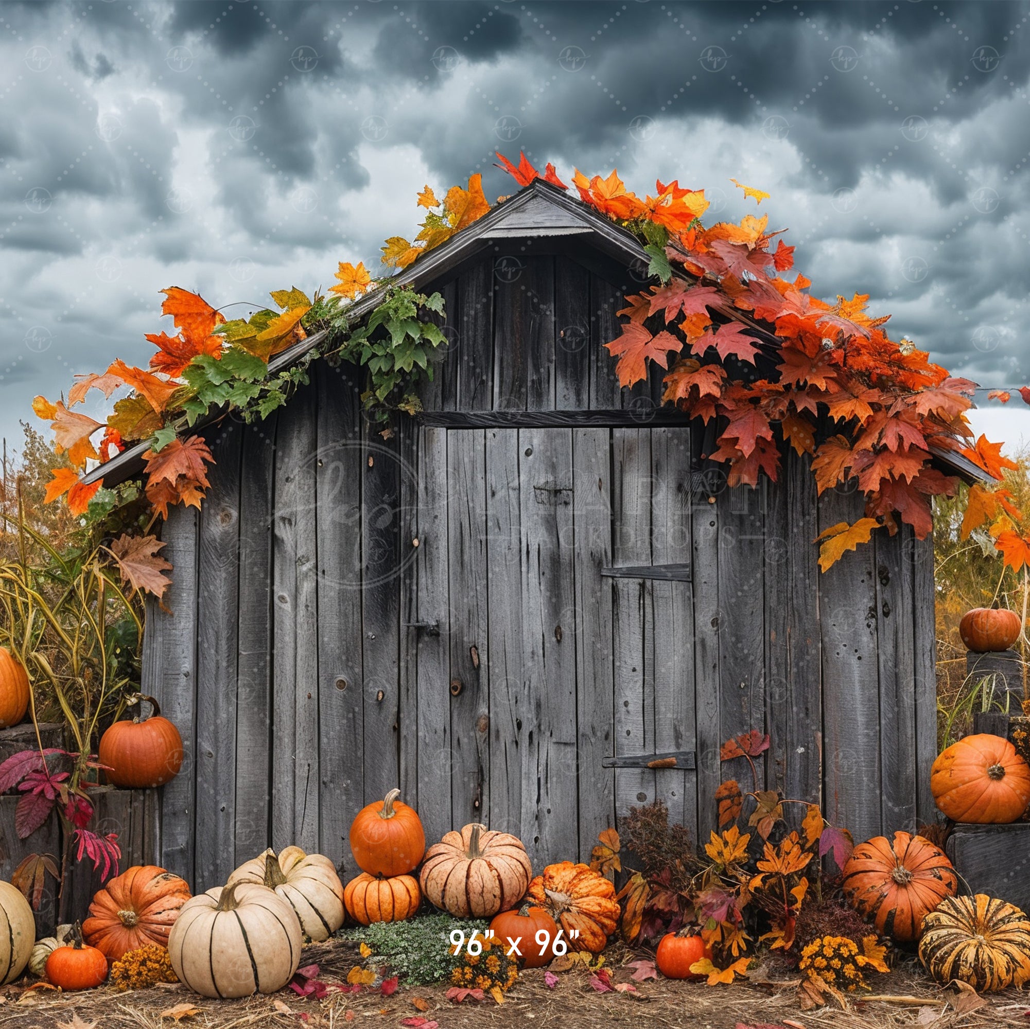 Rustic Autumn Shed with Pumpkins Backdrop