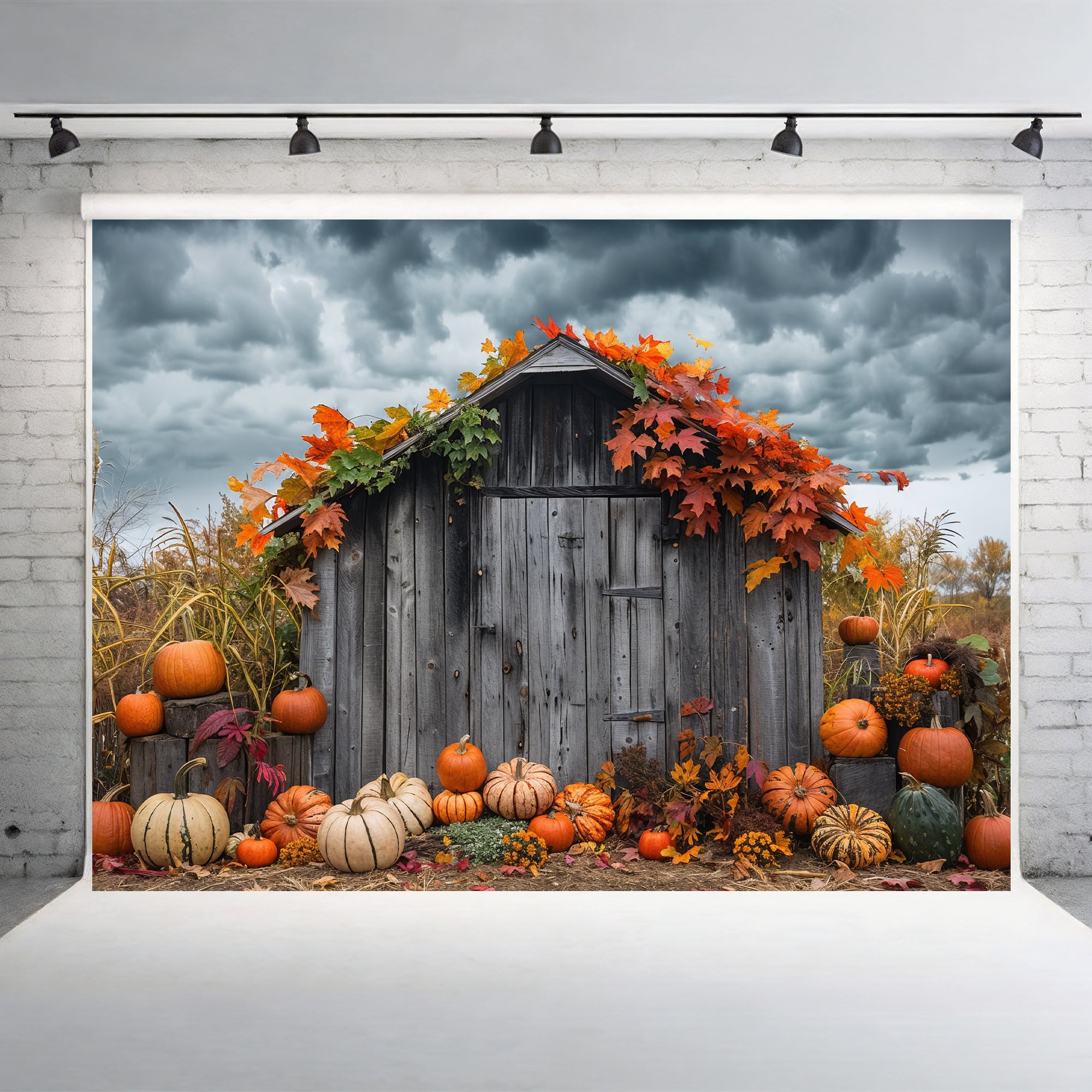 Rustic Autumn Shed with Pumpkins Backdrop