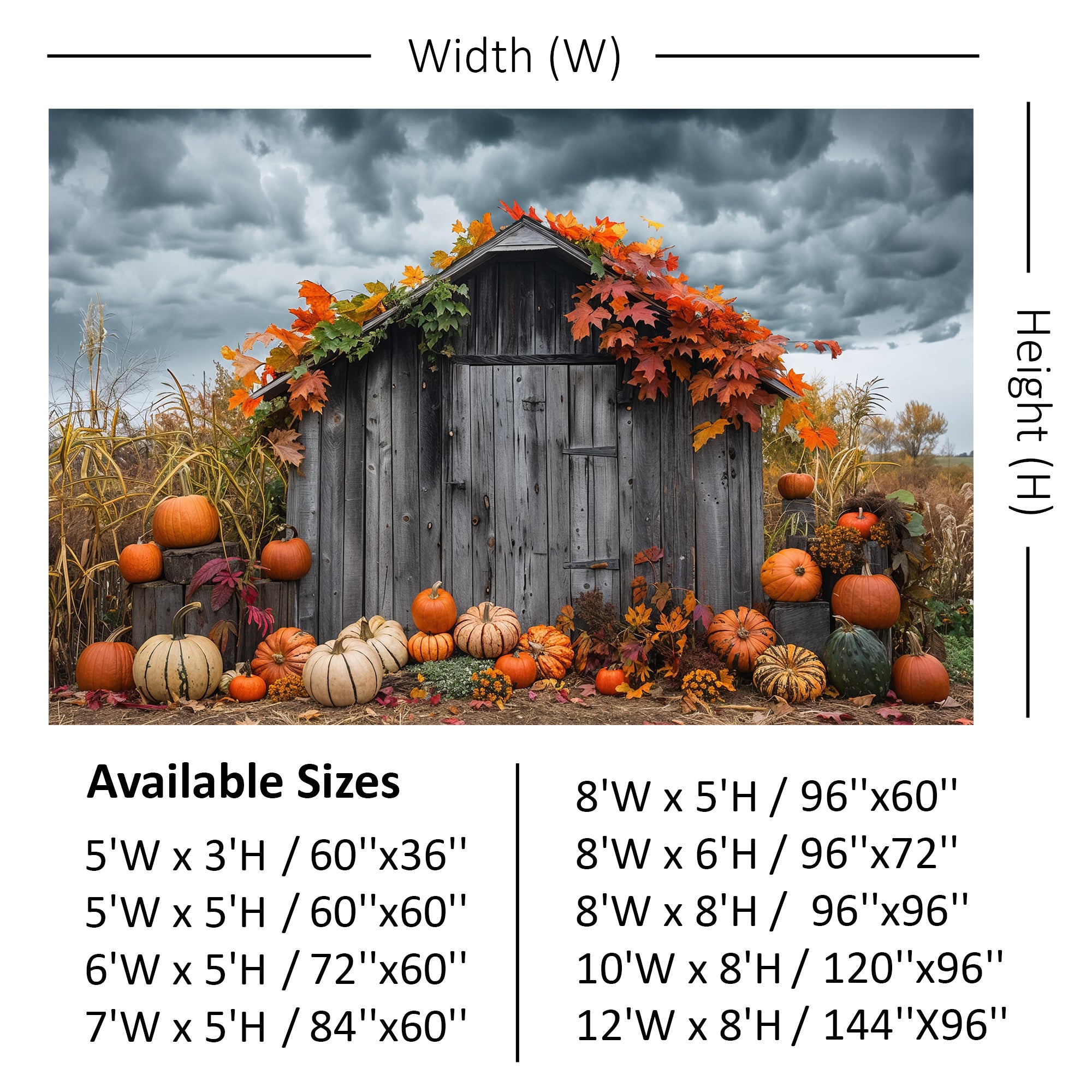 Rustic Autumn Shed with Pumpkins Backdrop