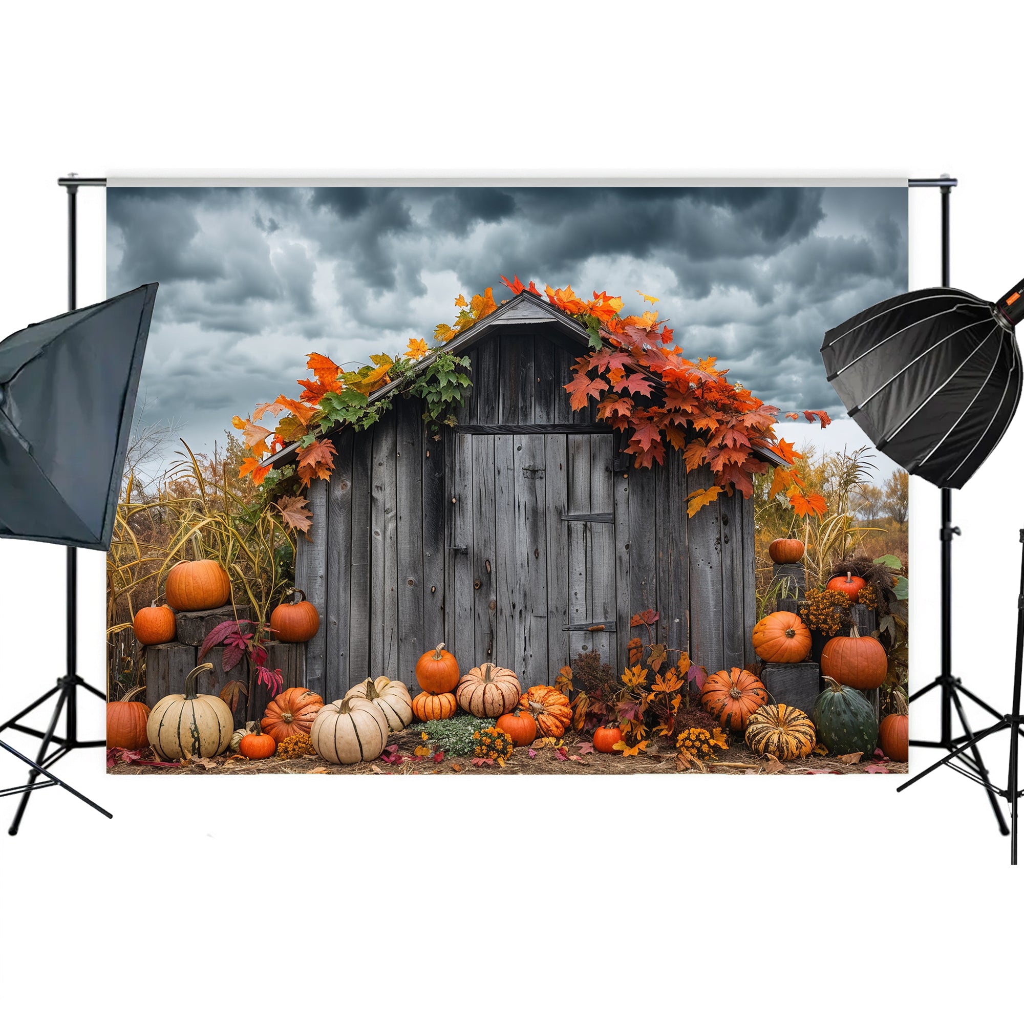 Rustic Autumn Shed with Pumpkins Backdrop
