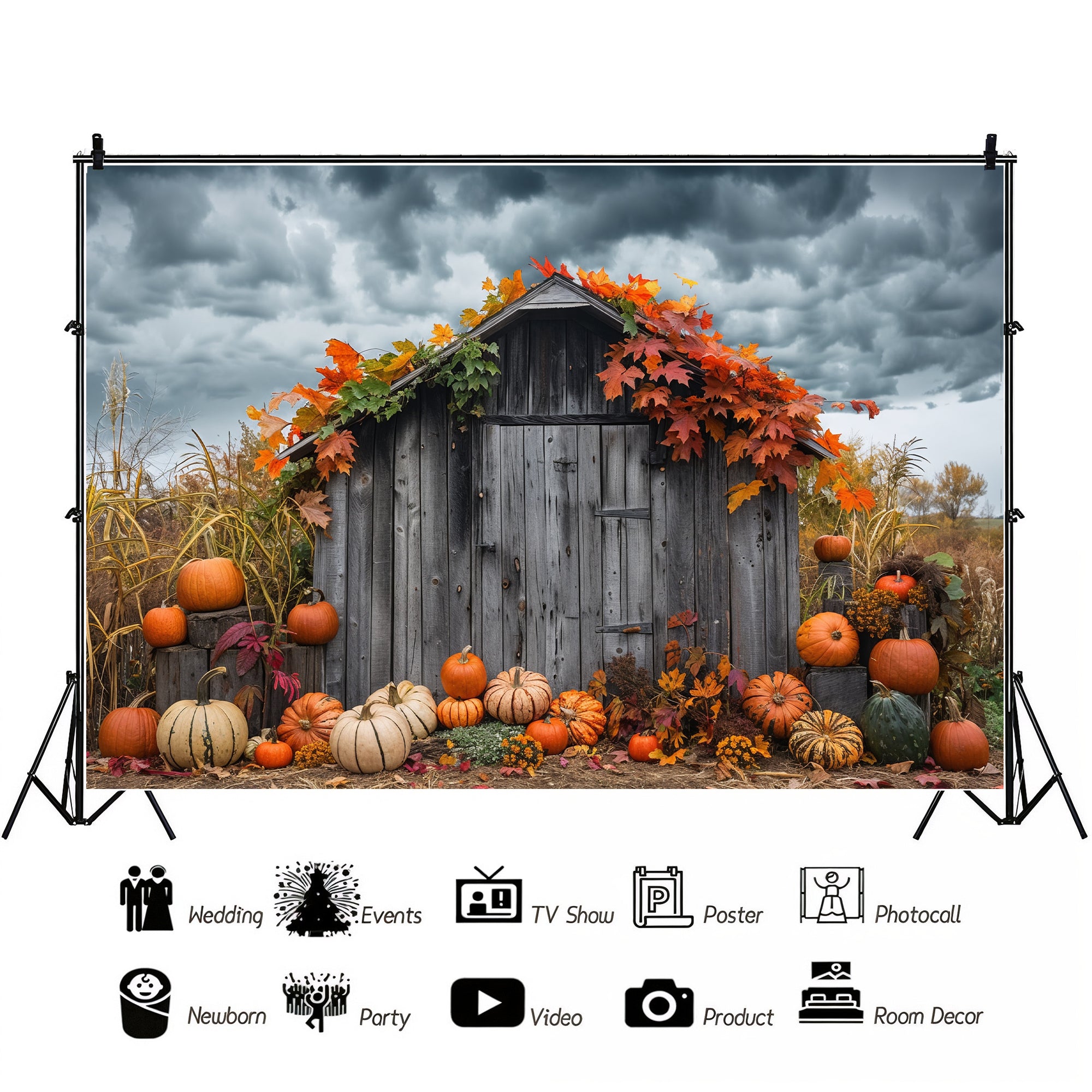 Rustic Autumn Shed with Pumpkins Backdrop