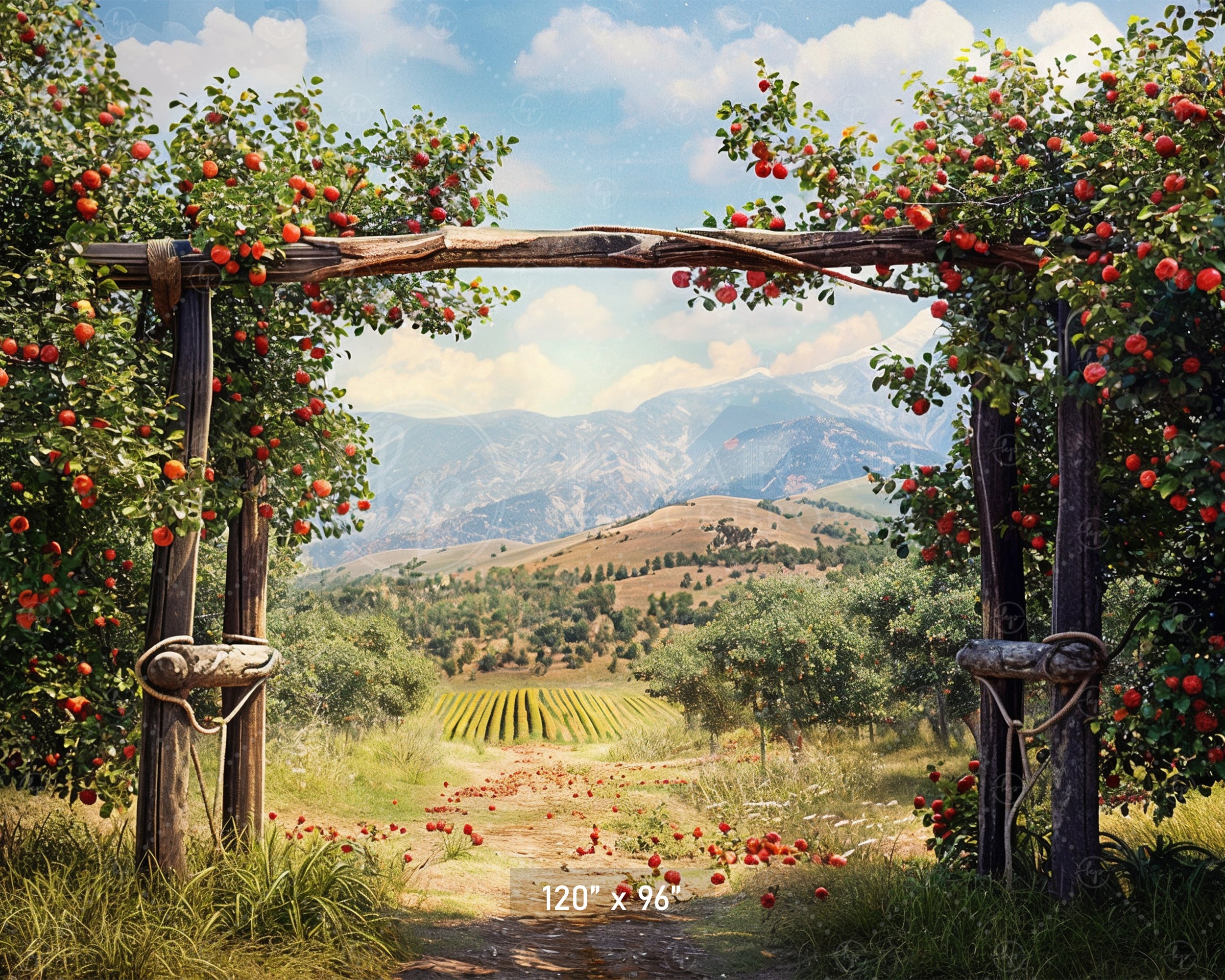Charming Red Barn Apple Harvest Backdrop