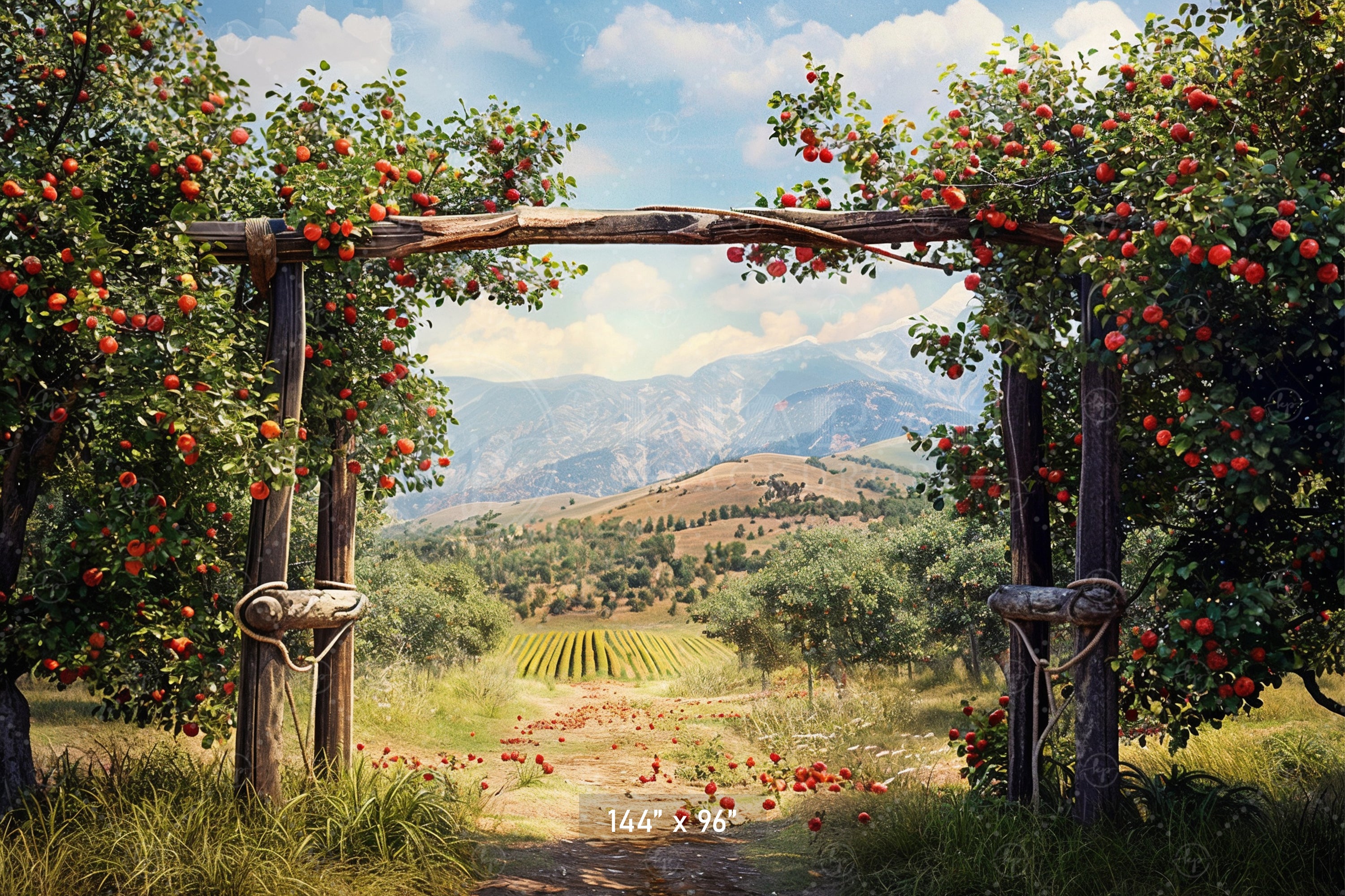 Charming Red Barn Apple Harvest Backdrop