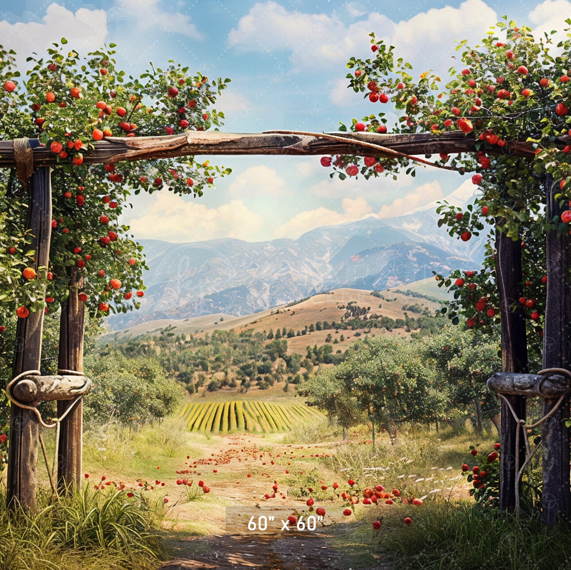 Charming Red Barn Apple Harvest Backdrop