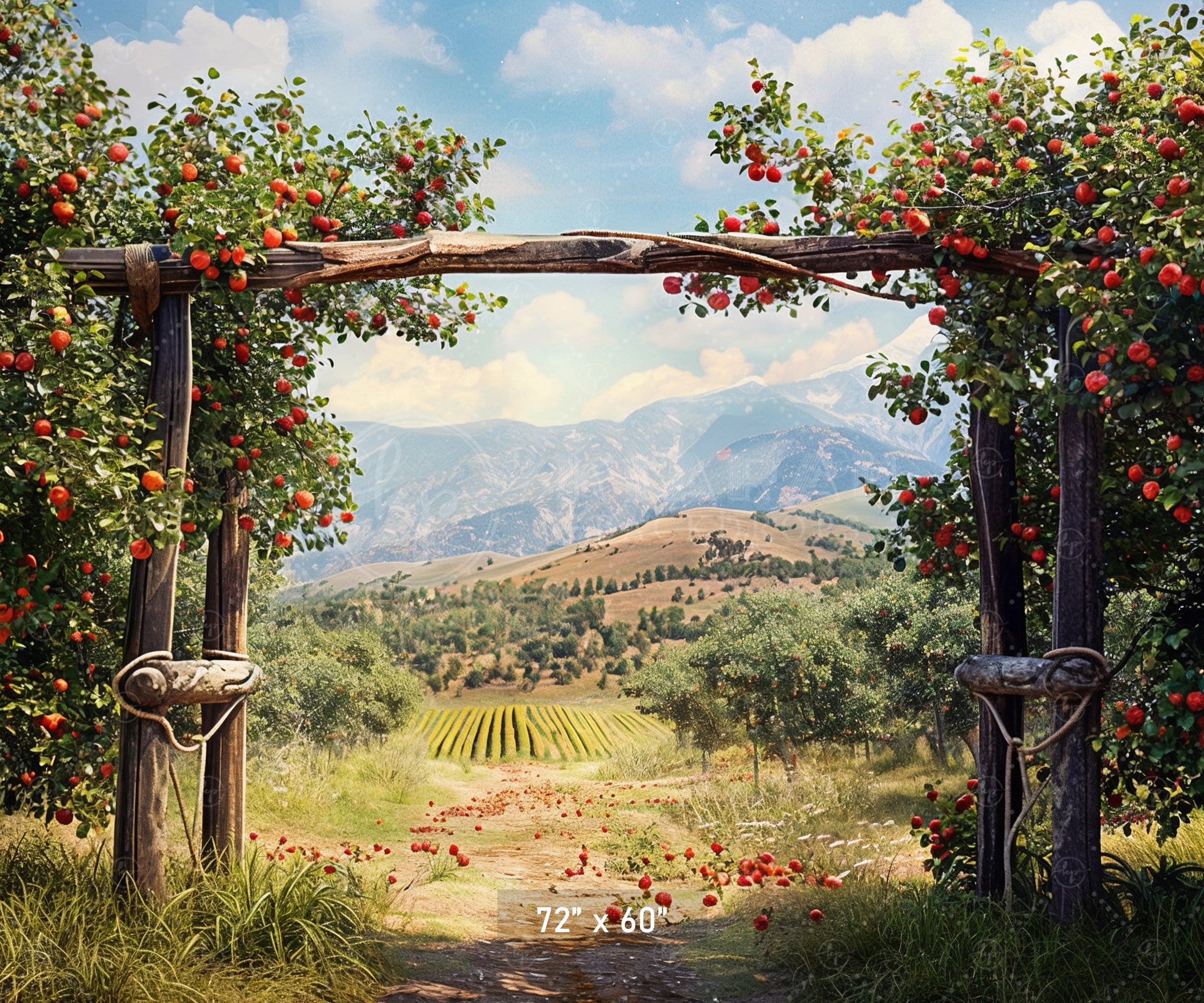 Charming Red Barn Apple Harvest Backdrop