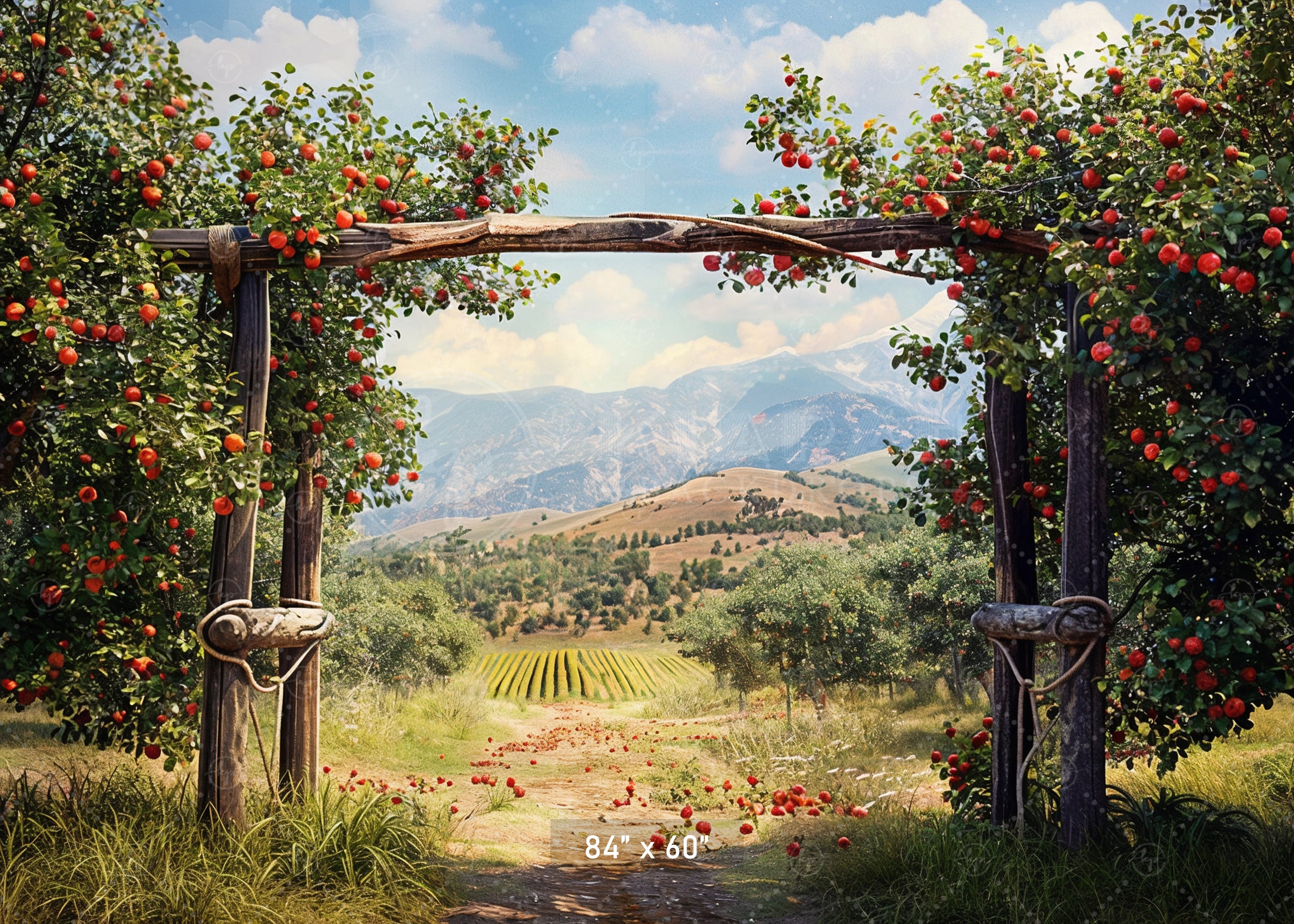 Charming Red Barn Apple Harvest Backdrop
