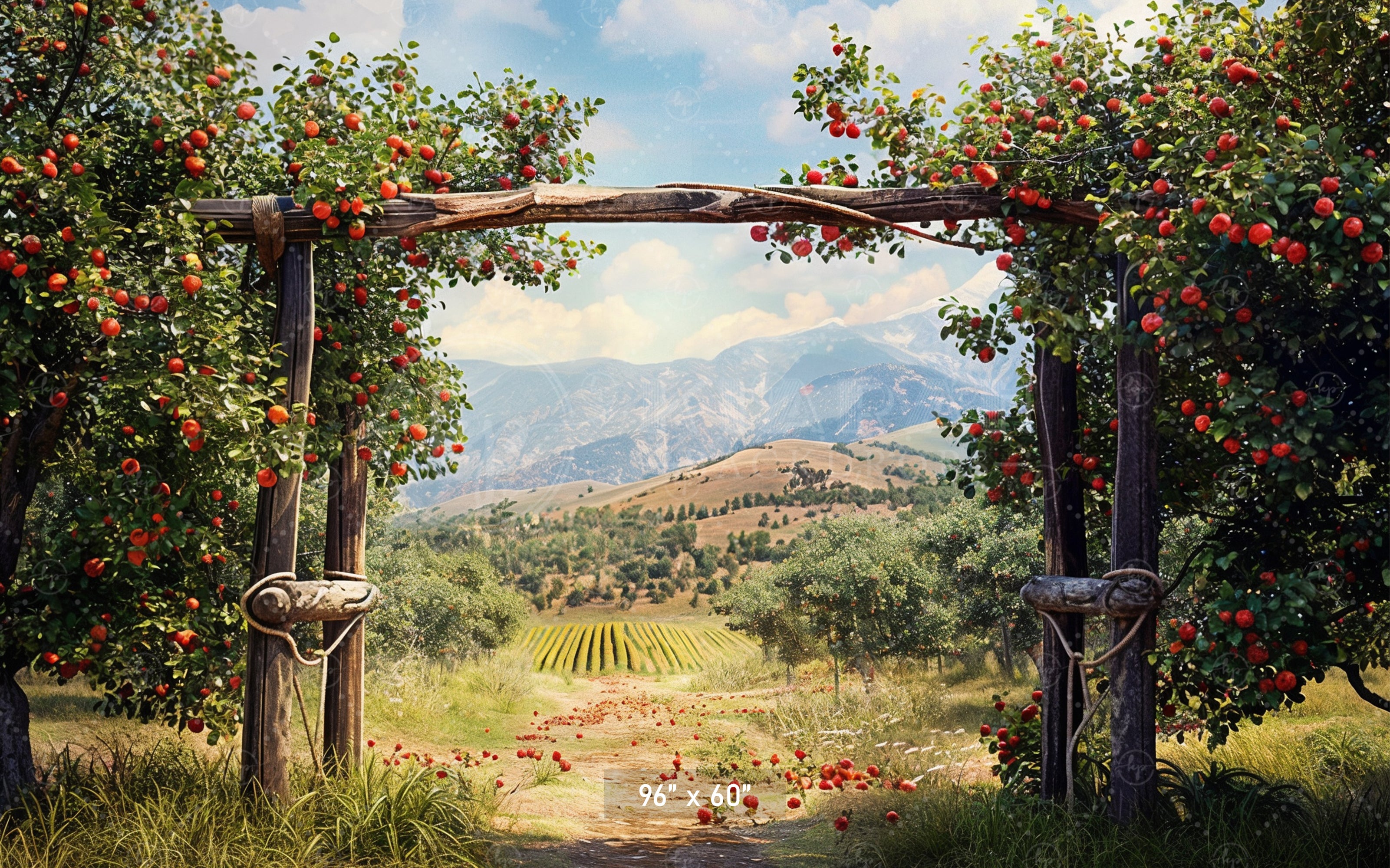 Charming Red Barn Apple Harvest Backdrop
