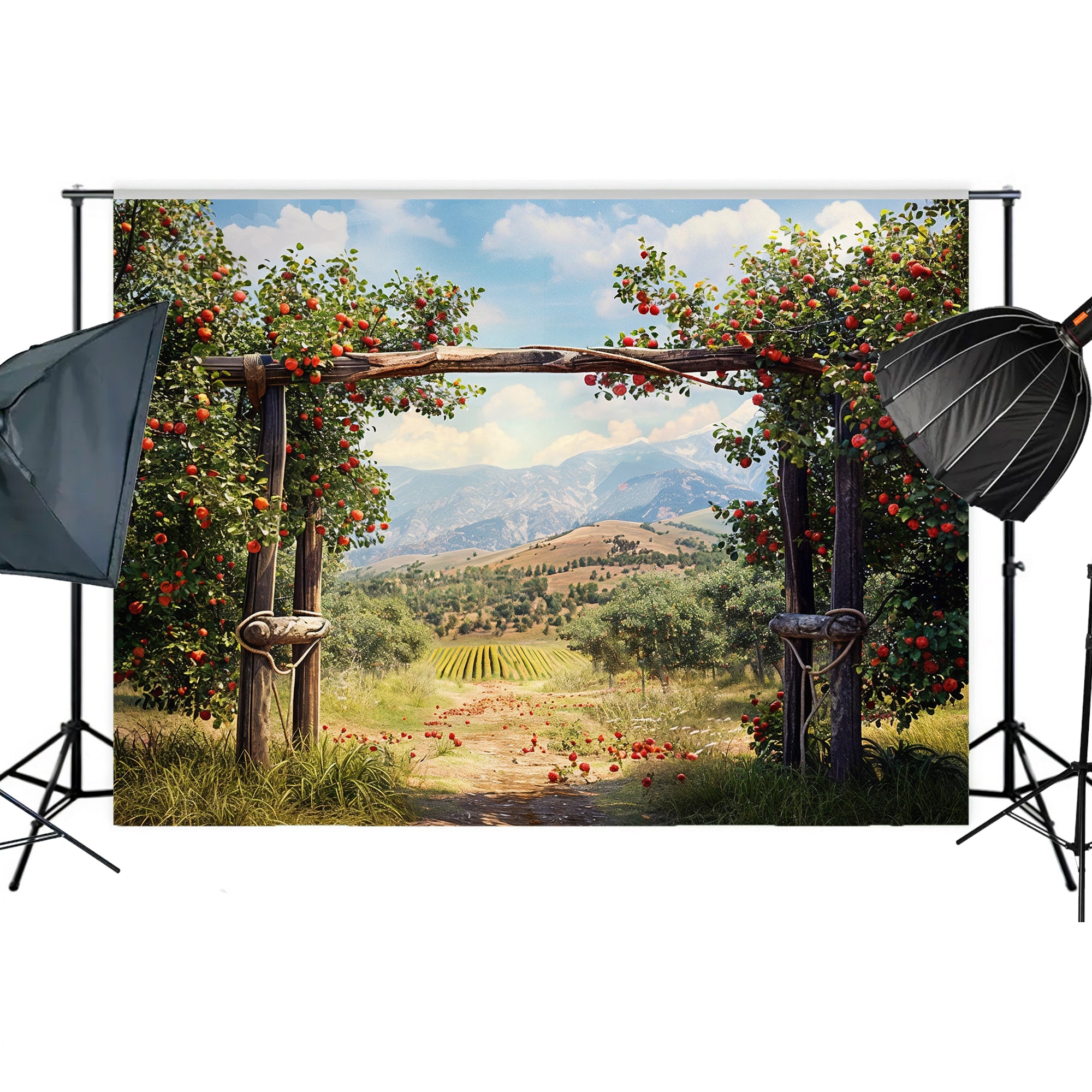 Charming Red Barn Apple Harvest Backdrop