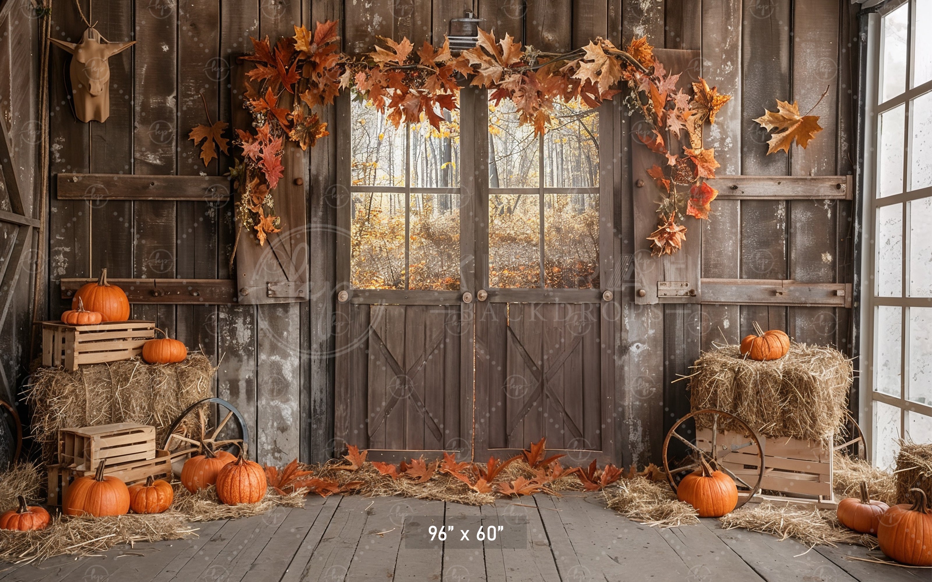 Autumn Barn Door Hay and Pumpkins Backdrop