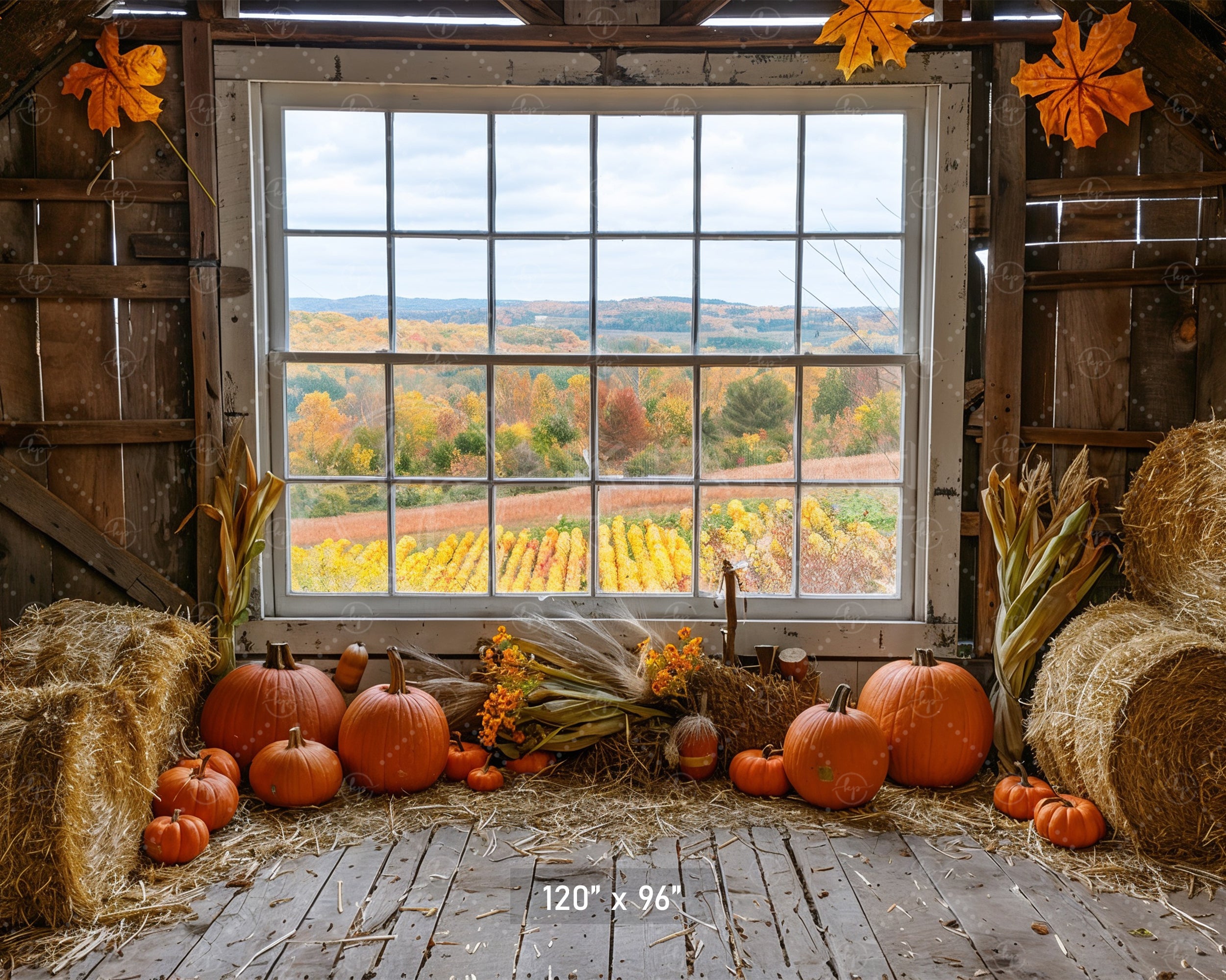 Autumn Barn Window Overlooking Fields Backdrop