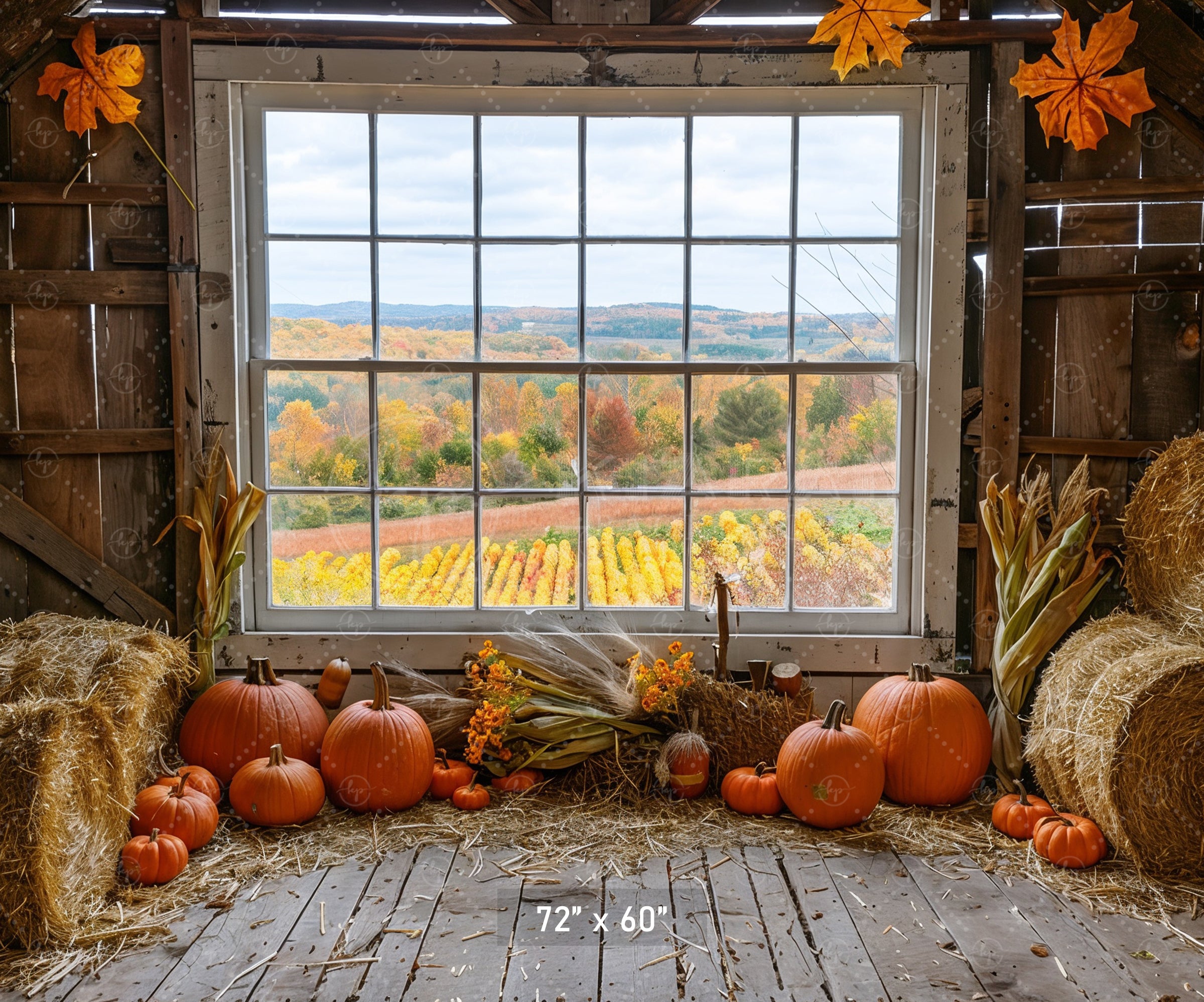 Autumn Barn Window Overlooking Fields Backdrop
