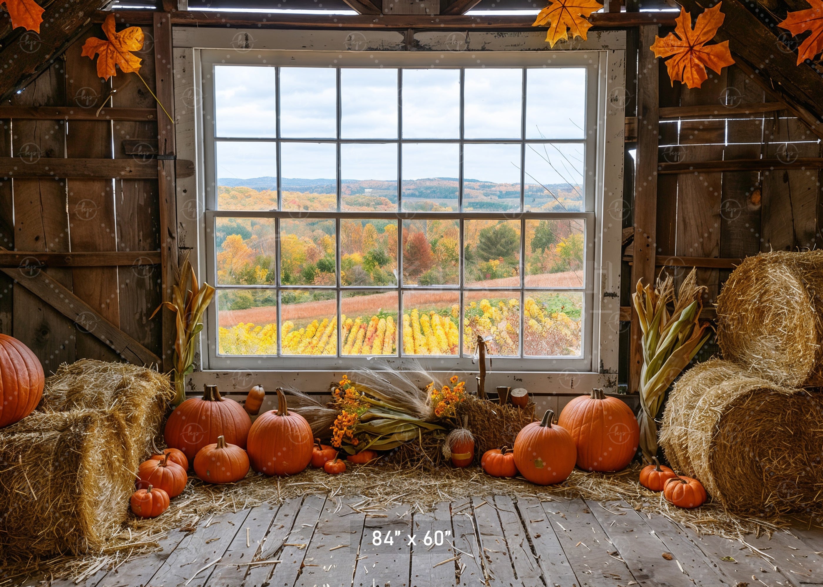 Autumn Barn Window Overlooking Fields Backdrop
