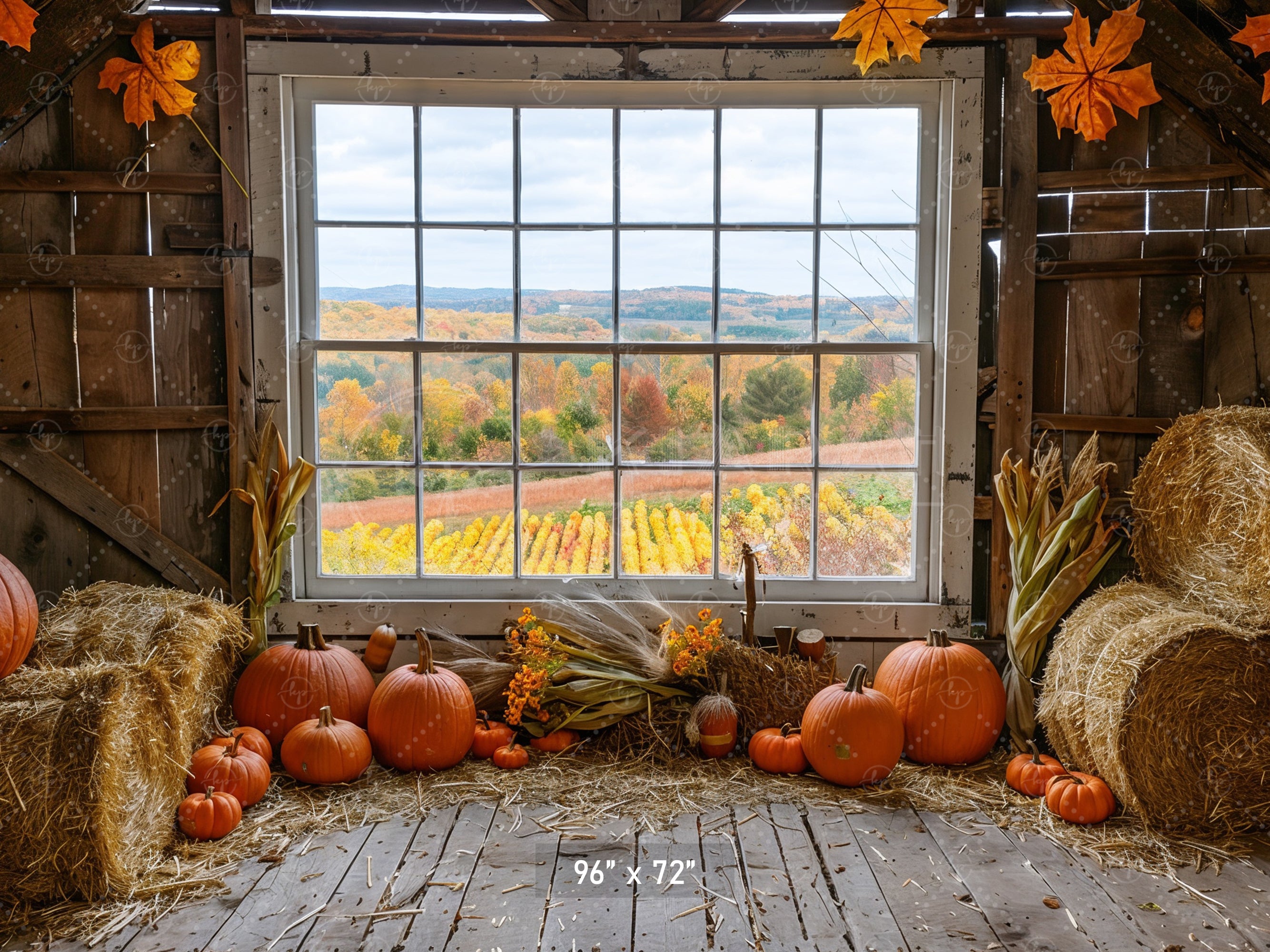 Autumn Barn Window Overlooking Fields Backdrop