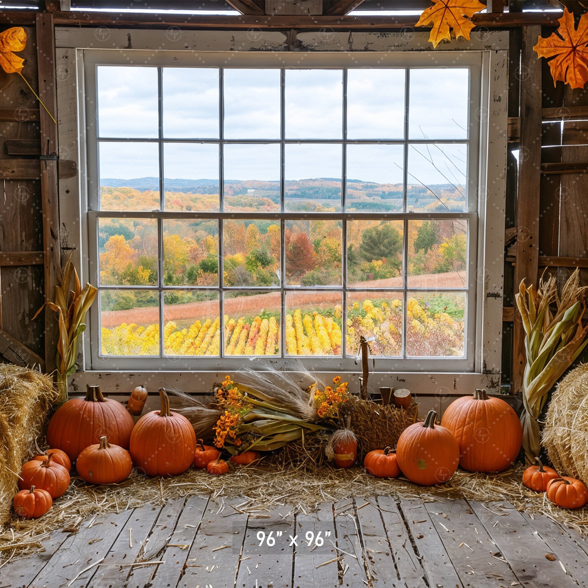 Autumn Barn Window Overlooking Fields Backdrop