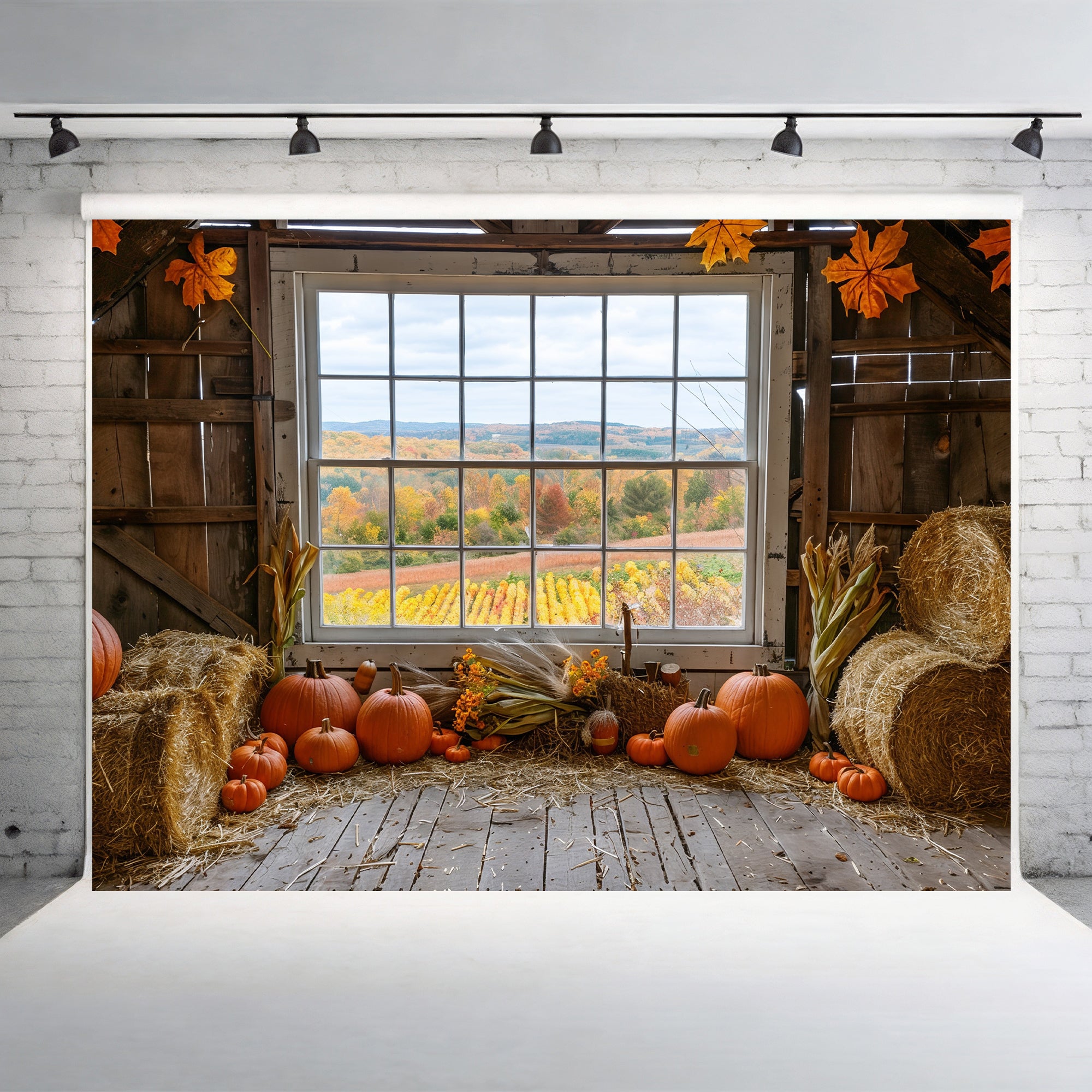 Autumn Barn Window Overlooking Fields Backdrop