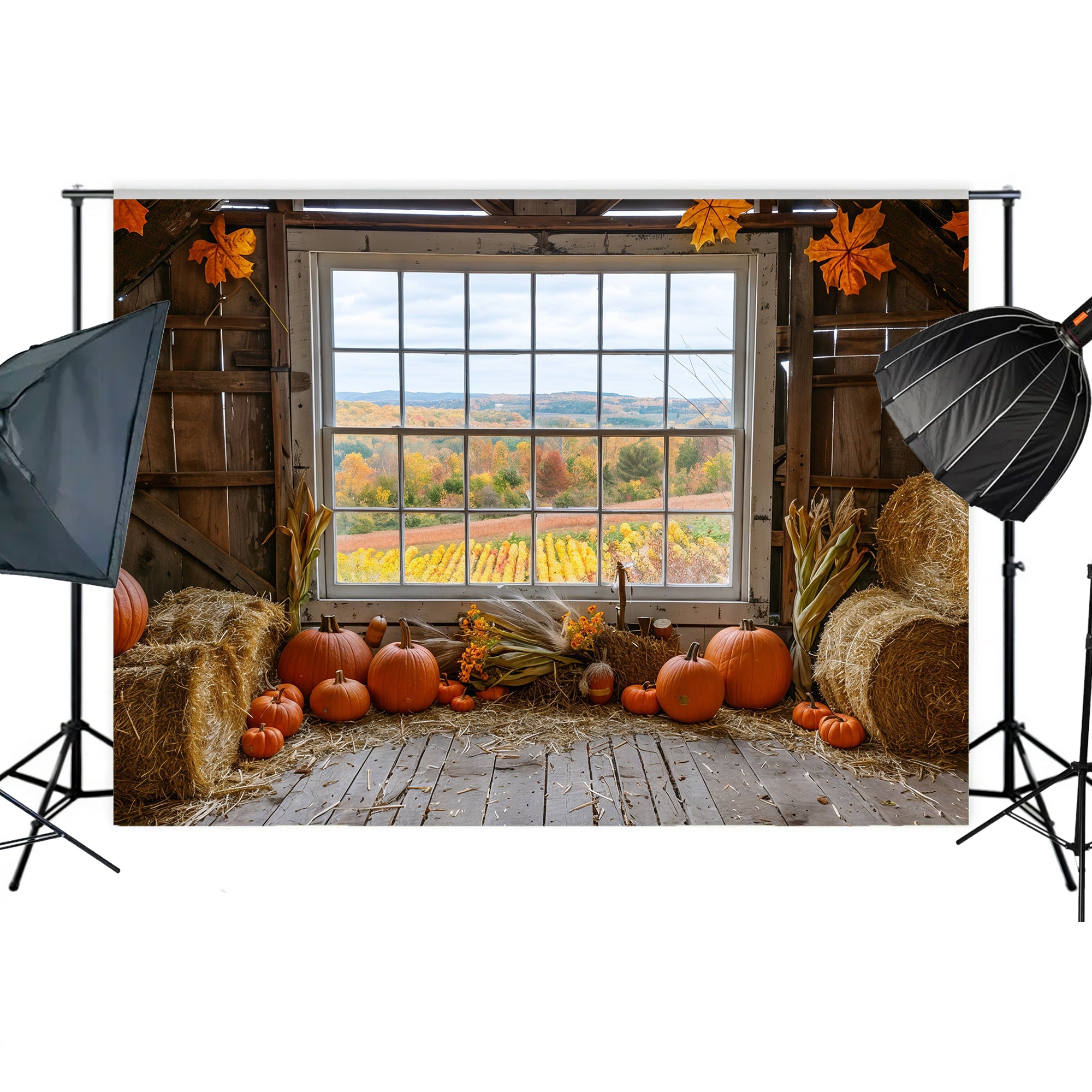 Autumn Barn Window Overlooking Fields Backdrop