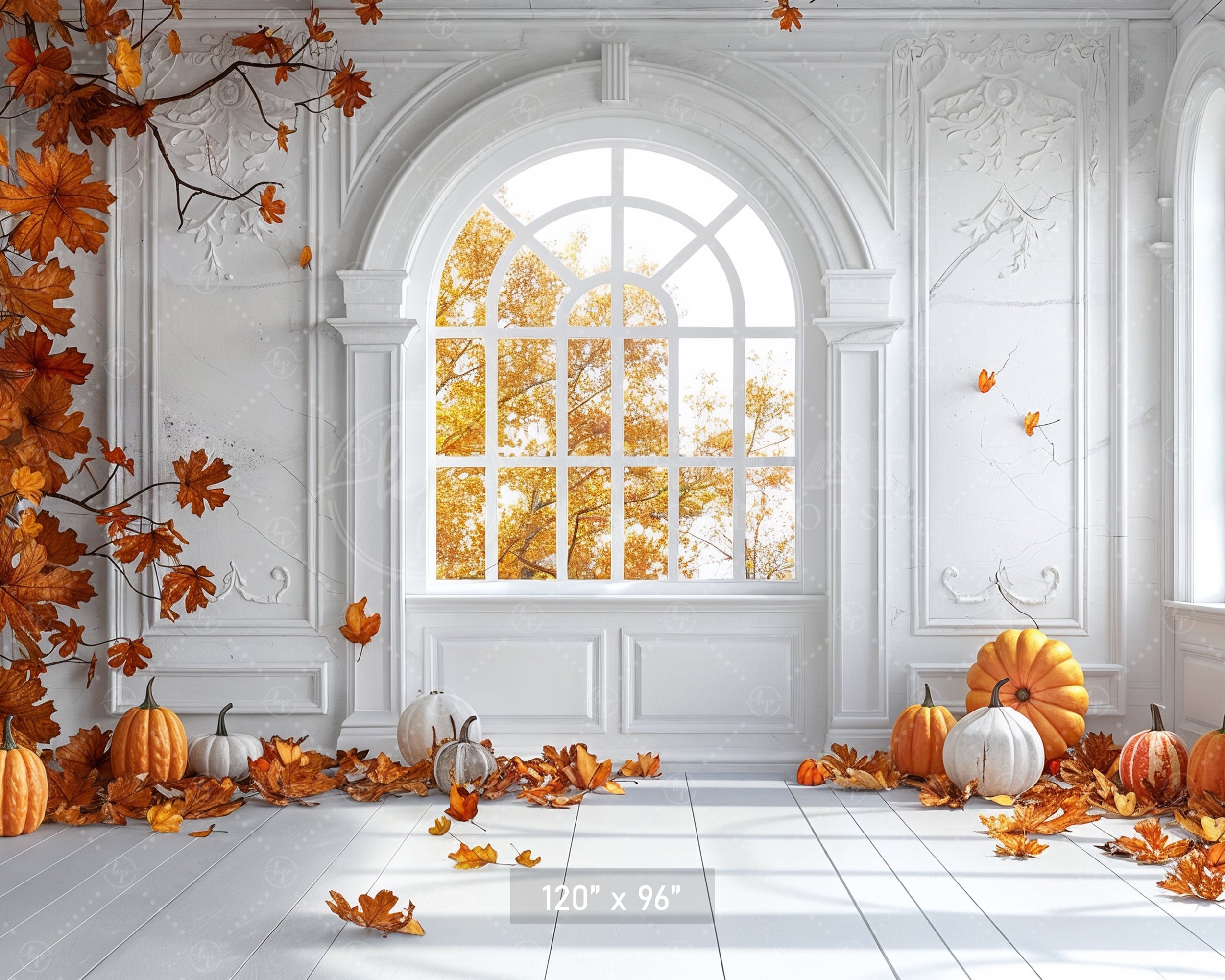 Elegant Autumn Window Backdrop