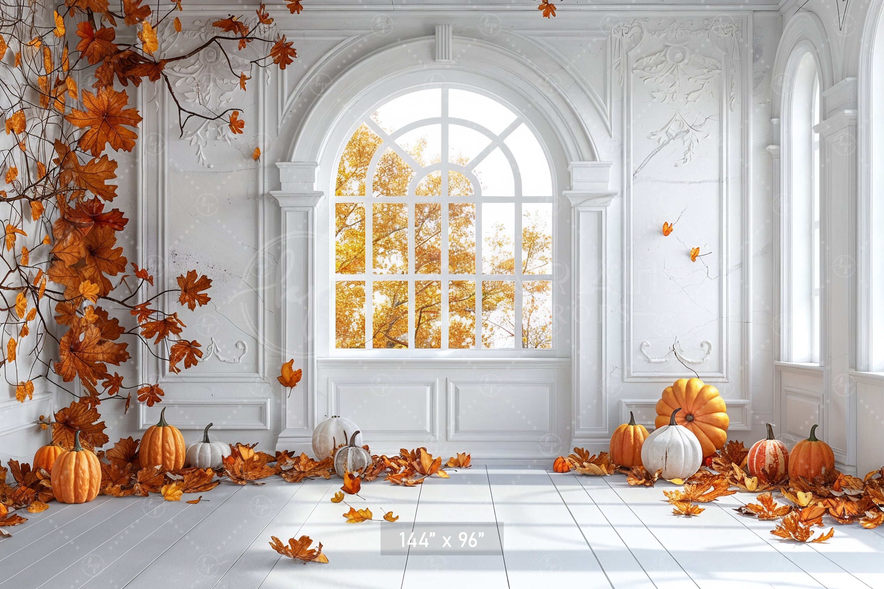 Elegant Autumn Window Backdrop