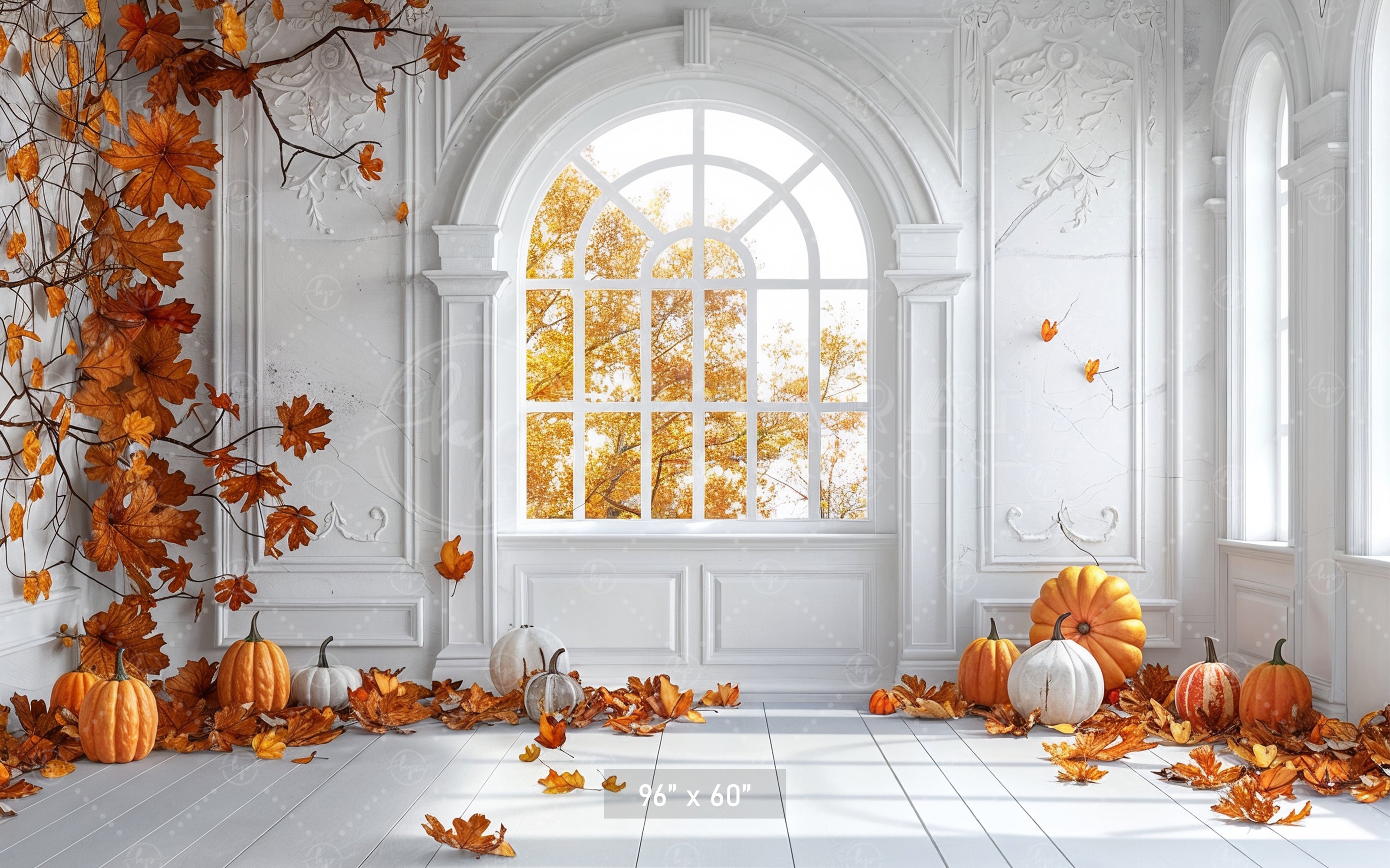 Elegant Autumn Window Backdrop