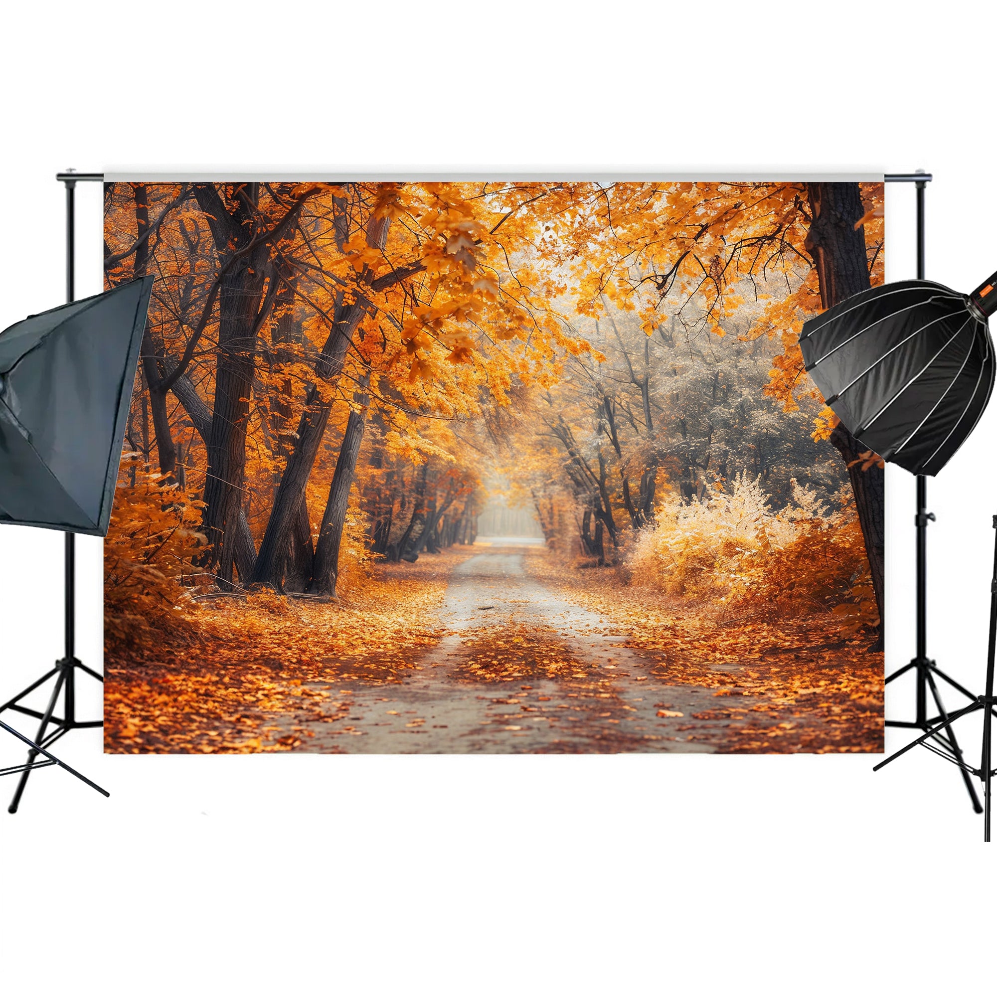 Enchanted Autumn Path Backdrop