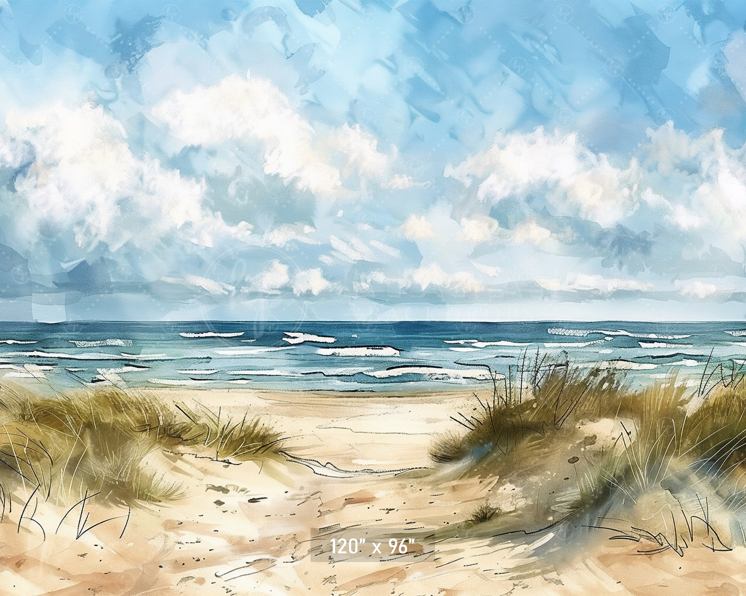 Coastal Daydream Backdrop