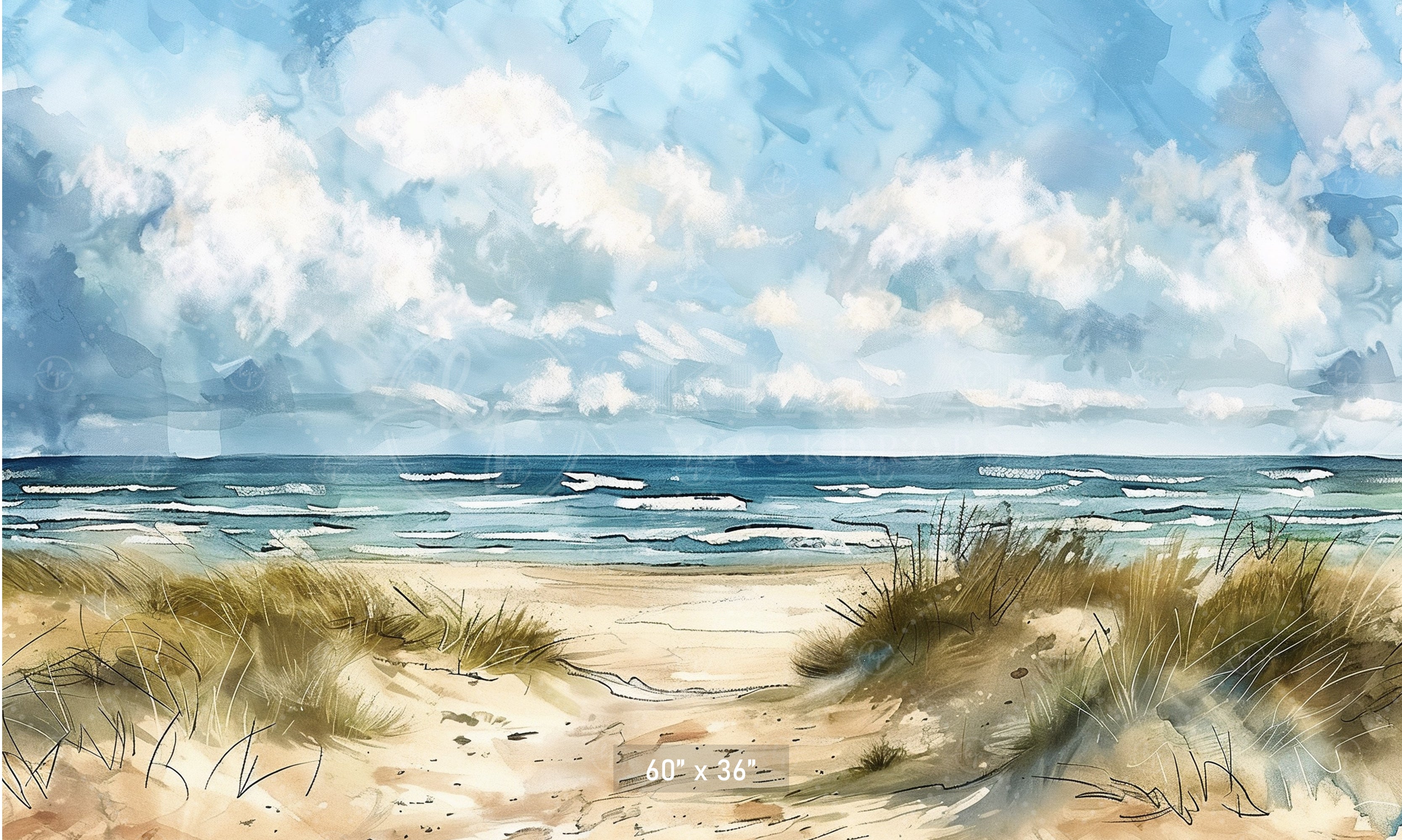 Coastal Daydream Backdrop