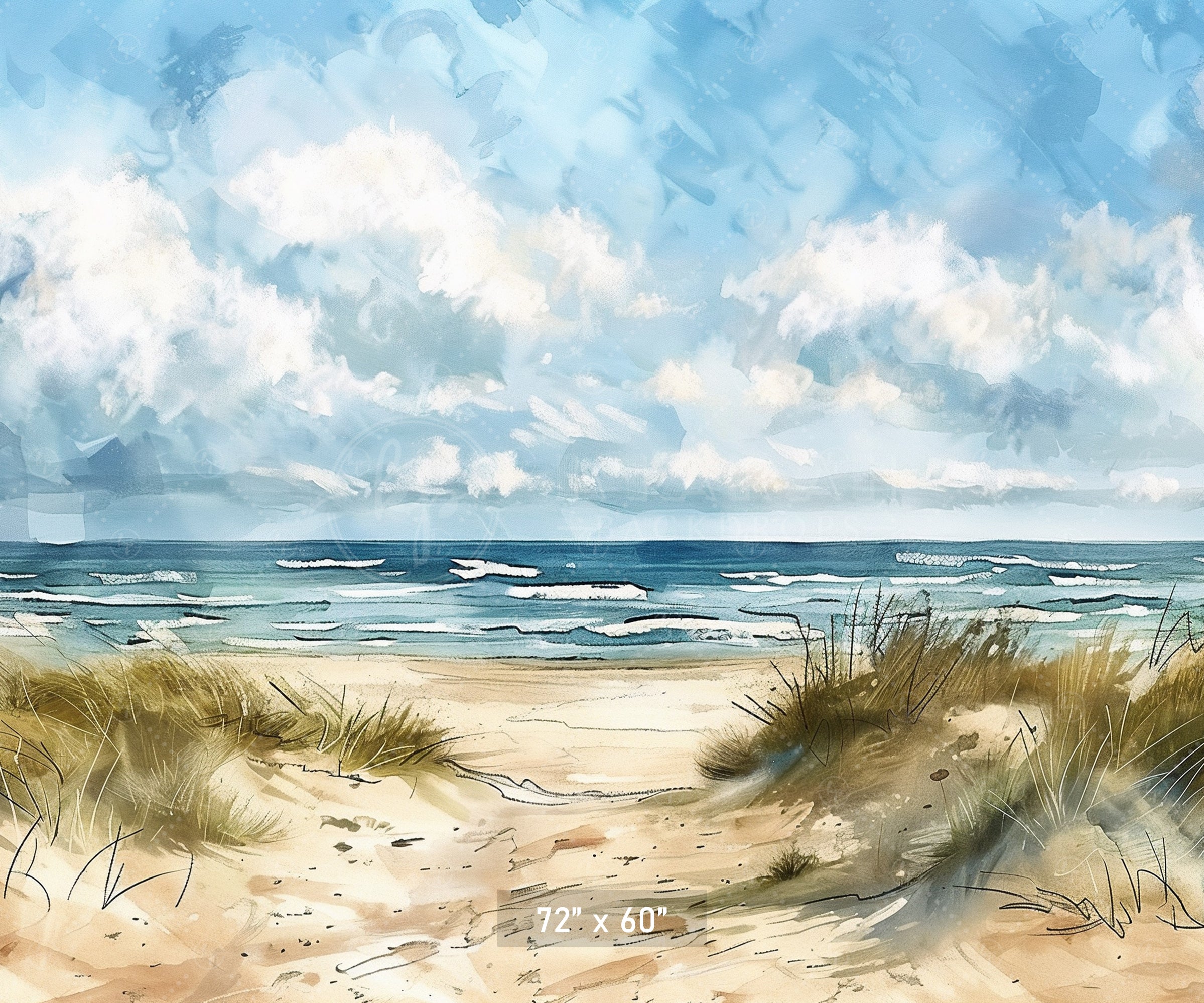 Coastal Daydream Backdrop