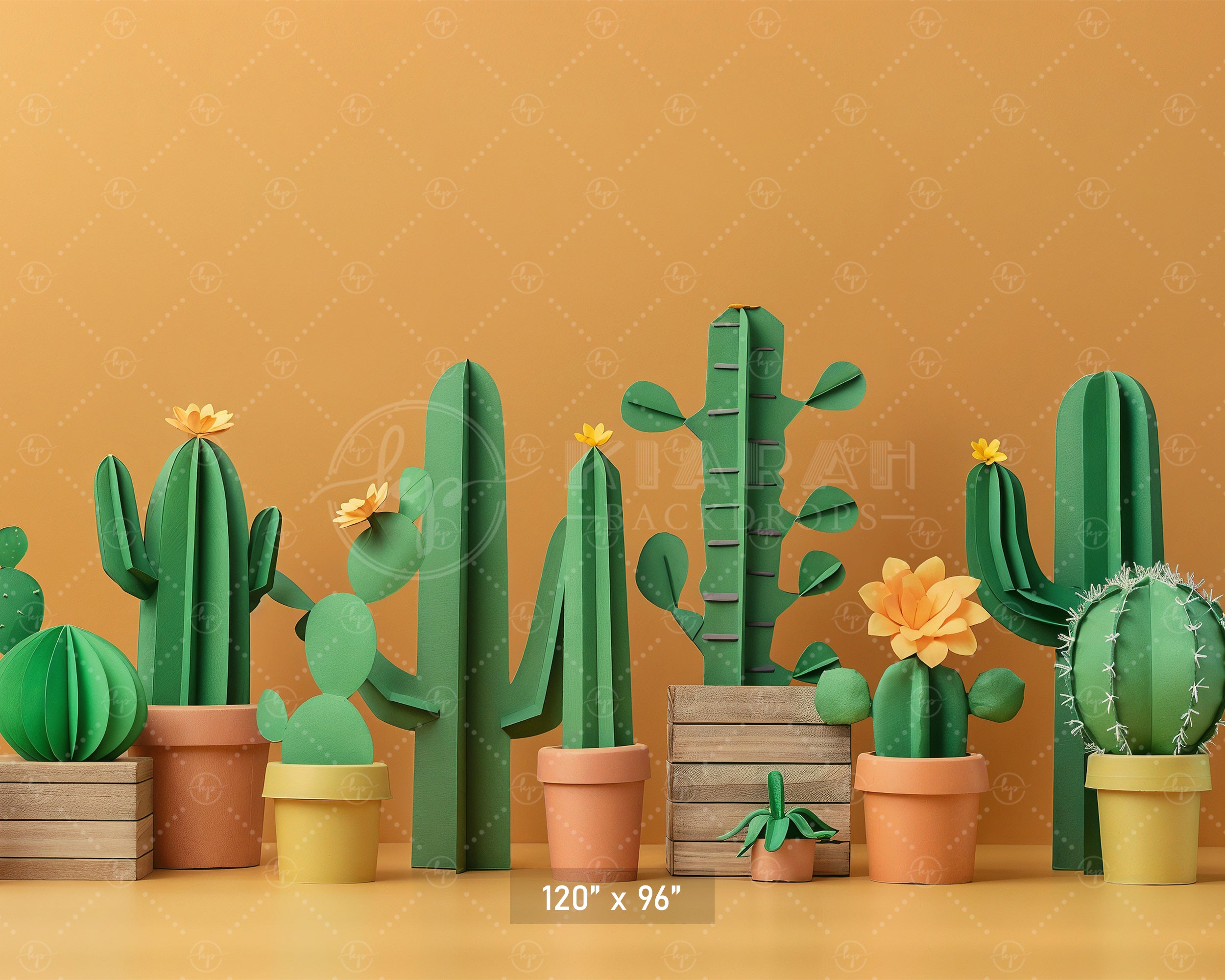 Colorful Cactus Garden Backdrop