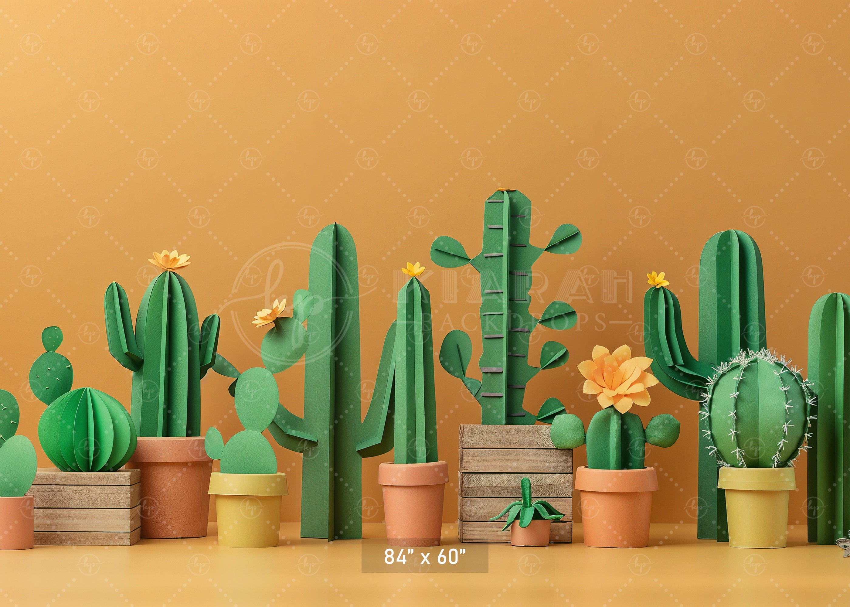 Colorful Cactus Garden Backdrop