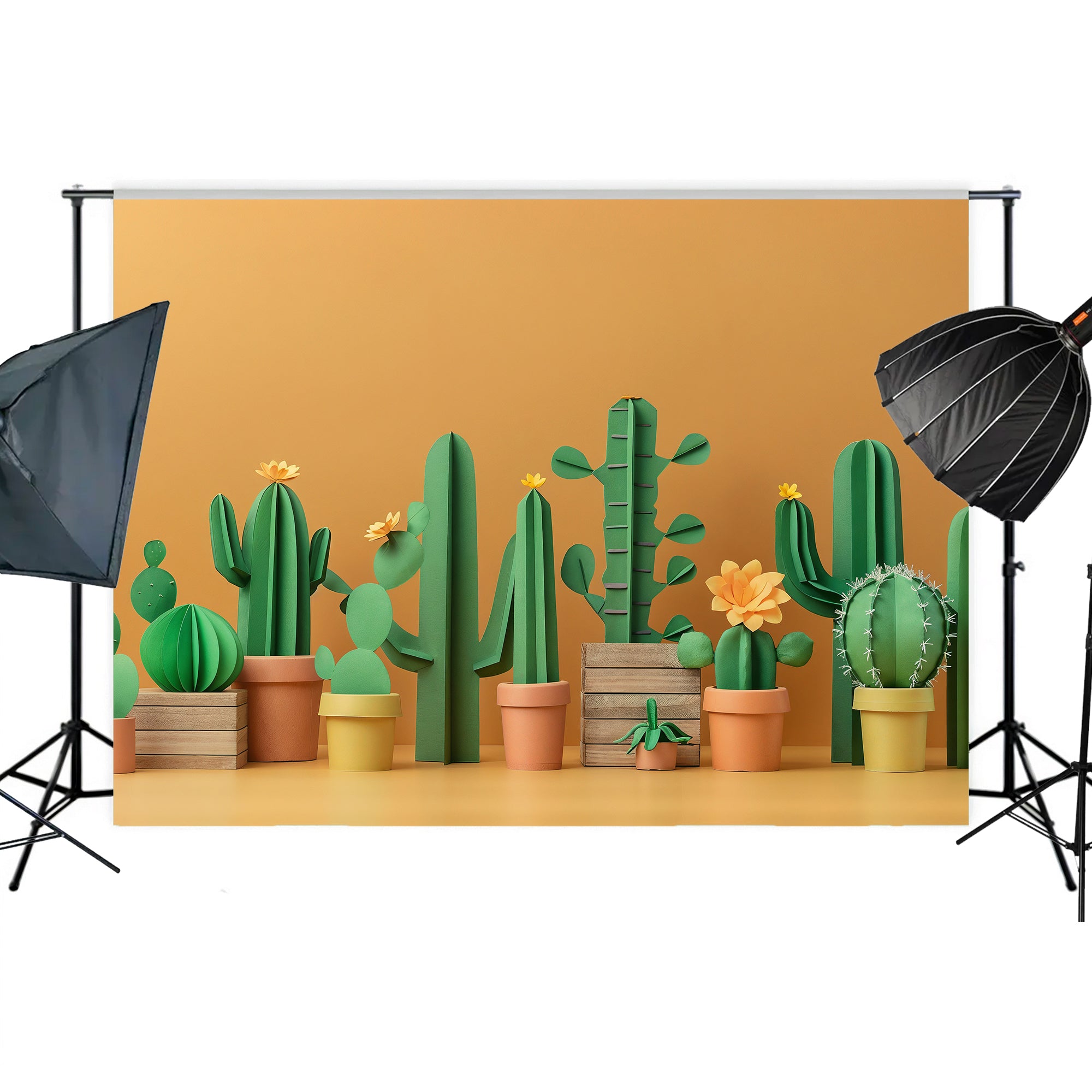 Colorful Cactus Garden Backdrop