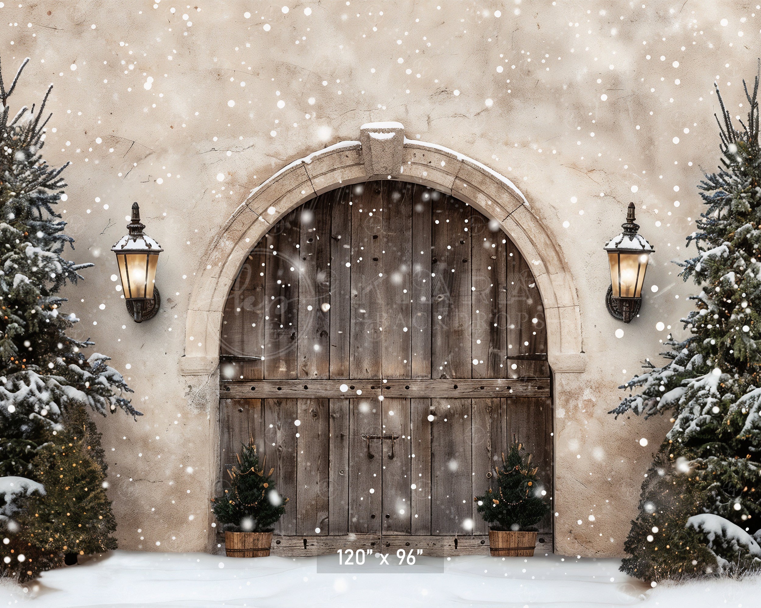 Winter Wonderland Arched Doorway Backdrop