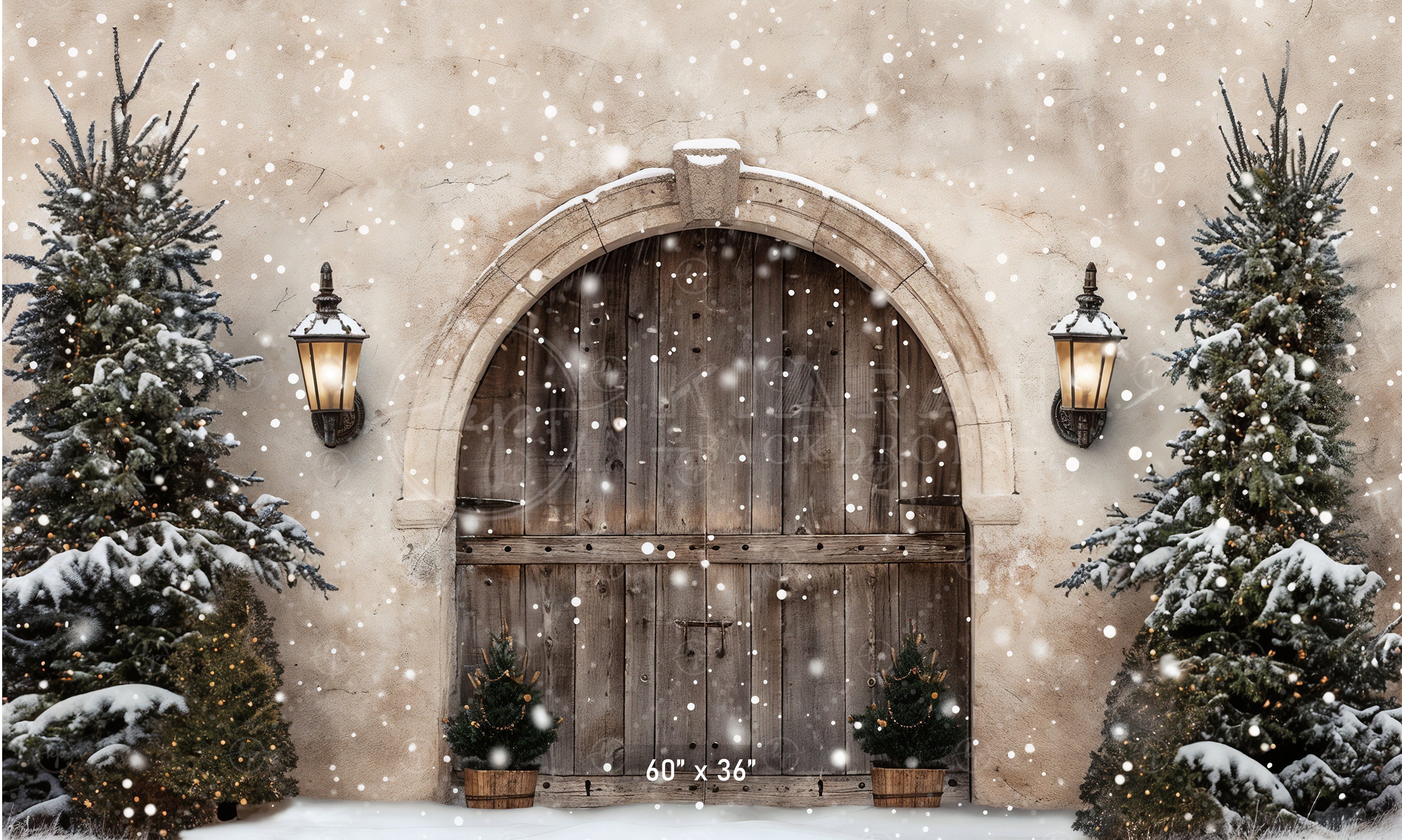 Winter Wonderland Arched Doorway Backdrop