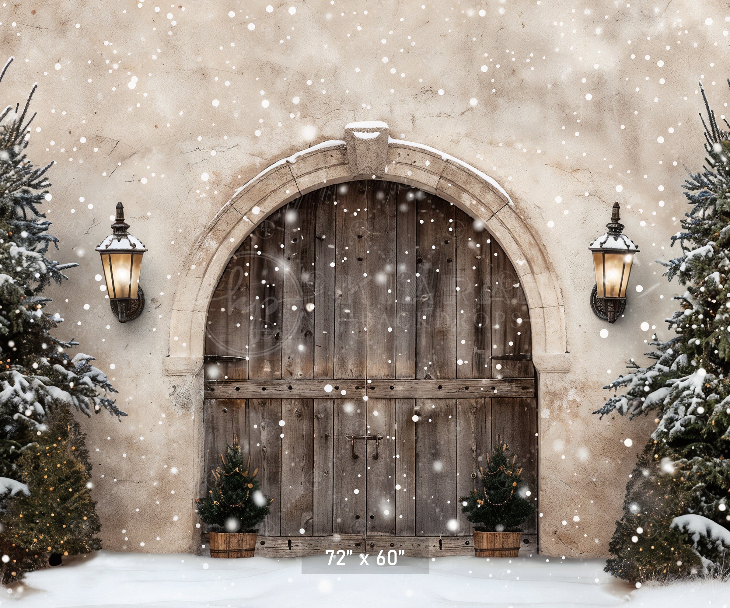 Winter Wonderland Arched Doorway Backdrop