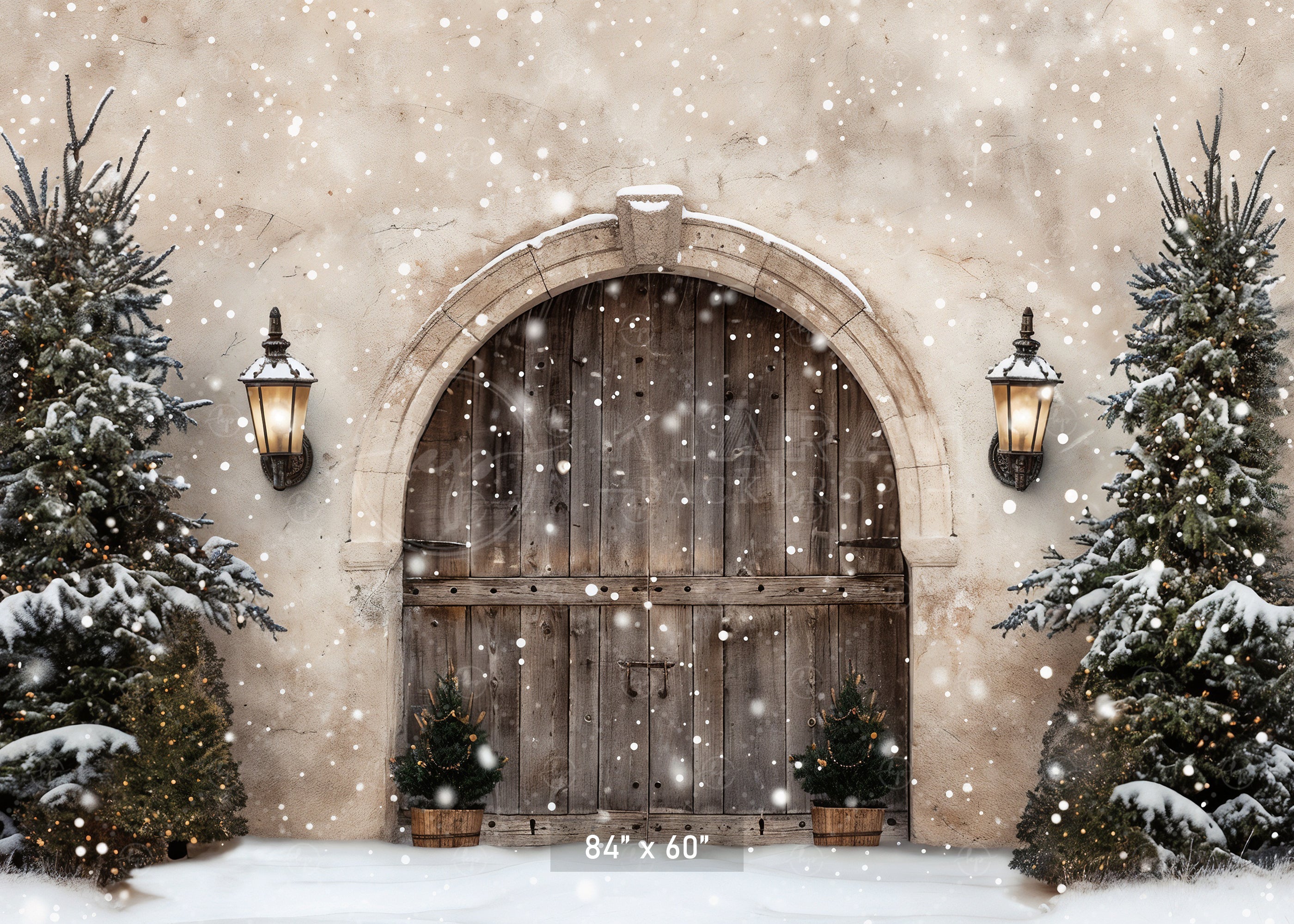 Winter Wonderland Arched Doorway Backdrop