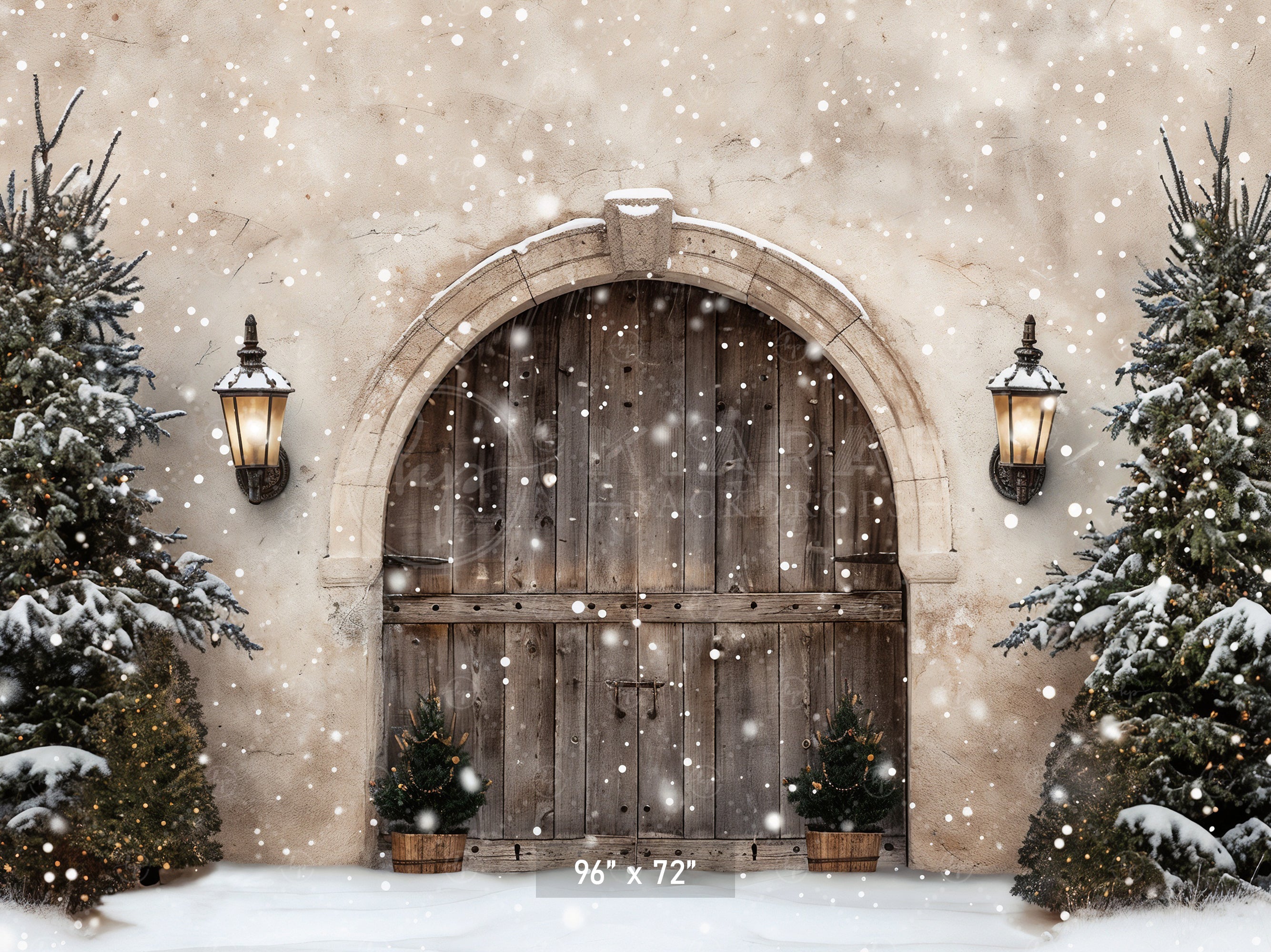 Winter Wonderland Arched Doorway Backdrop