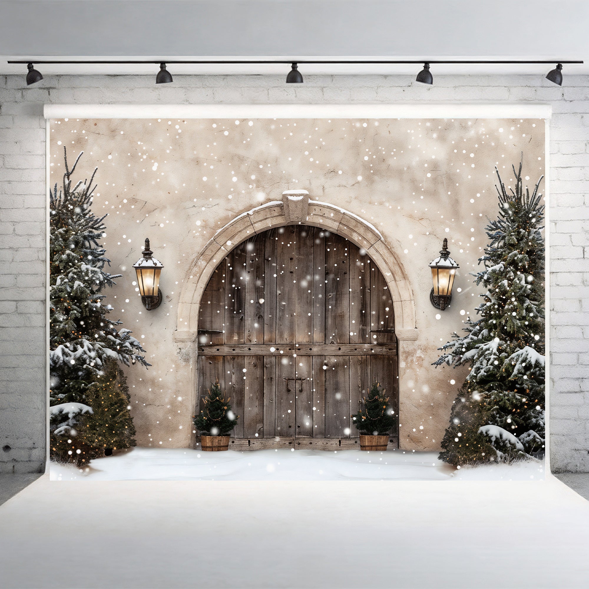 Winter Wonderland Arched Doorway Backdrop