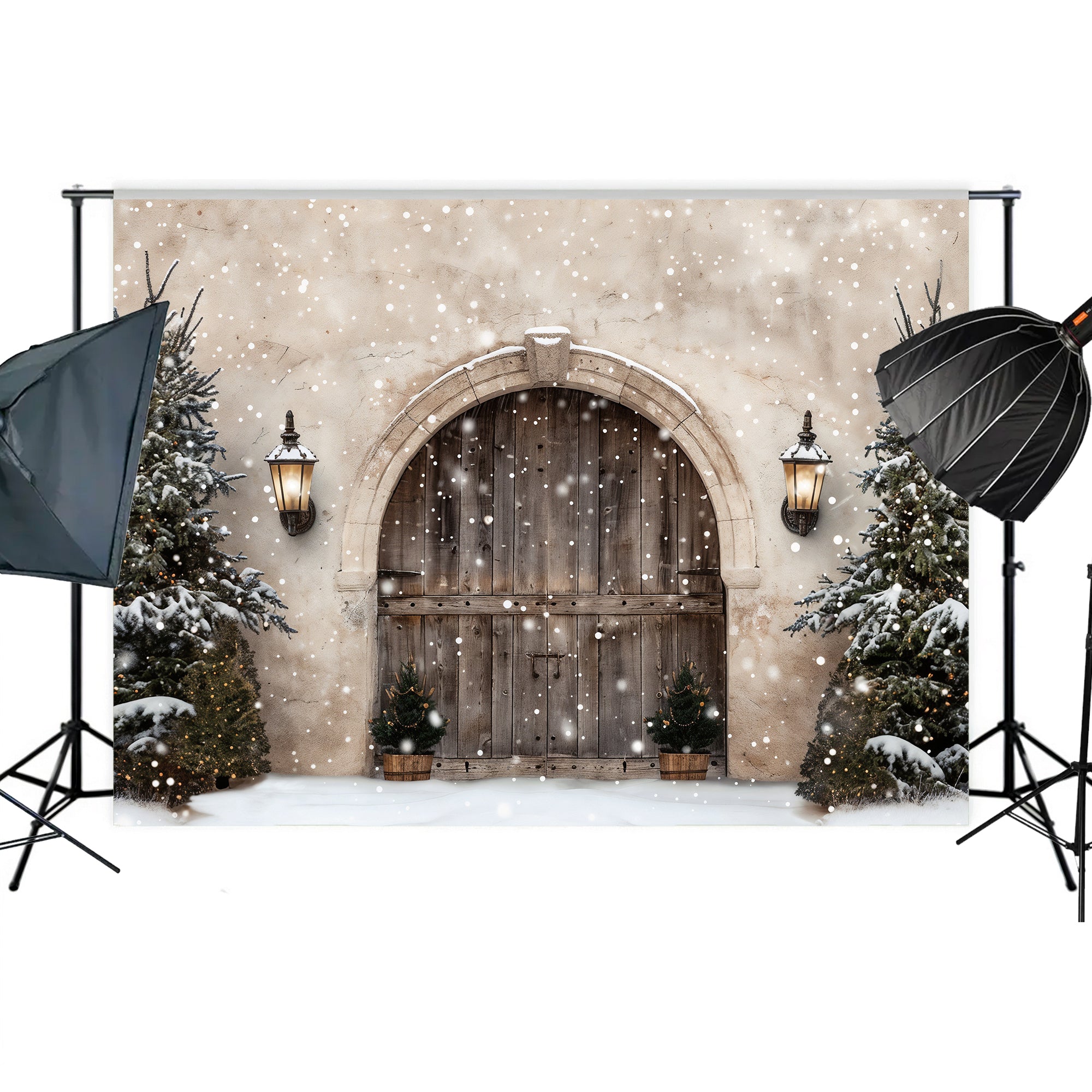 Winter Wonderland Arched Doorway Backdrop