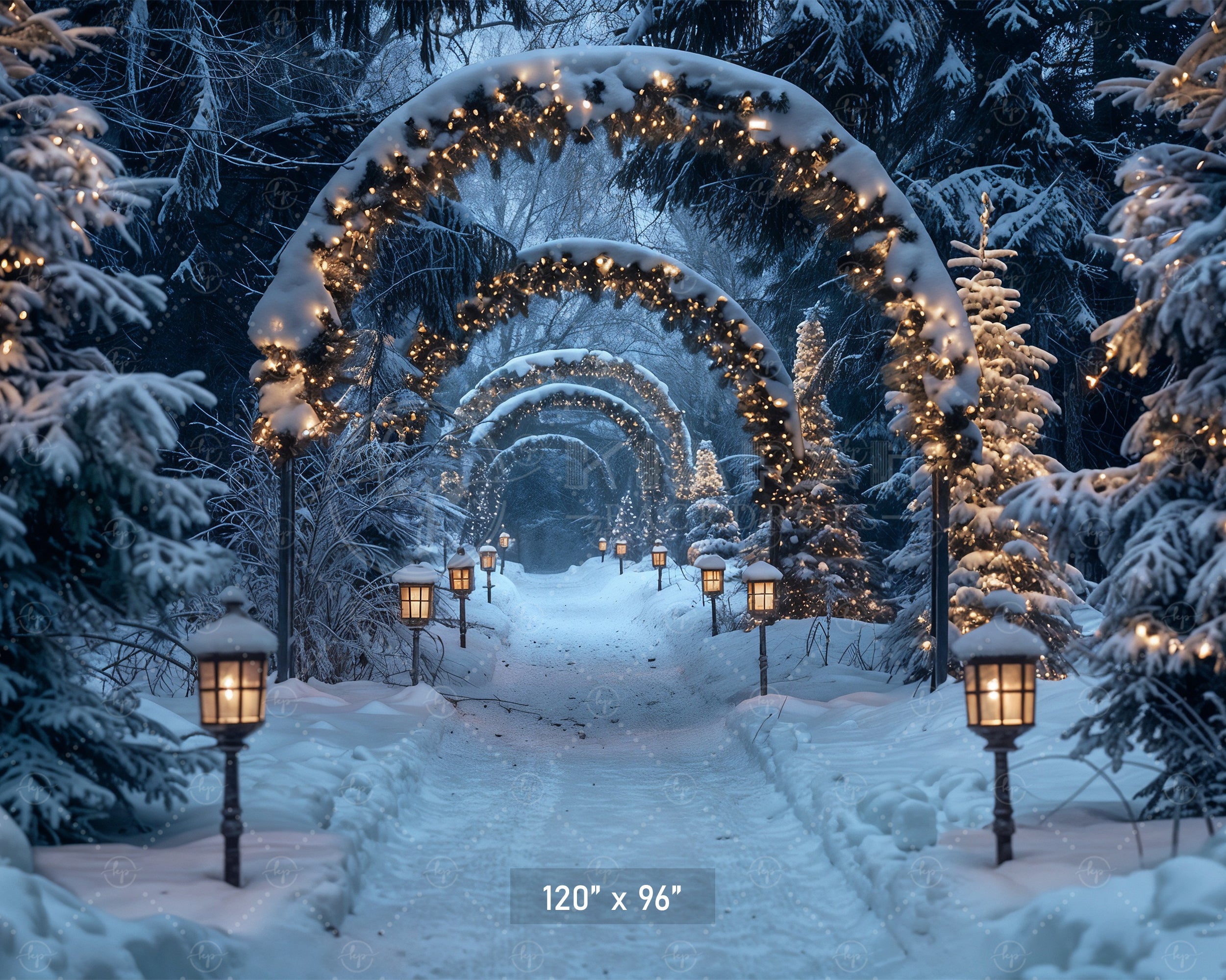 Enchanted Forest Christmas Pathway Backdrop