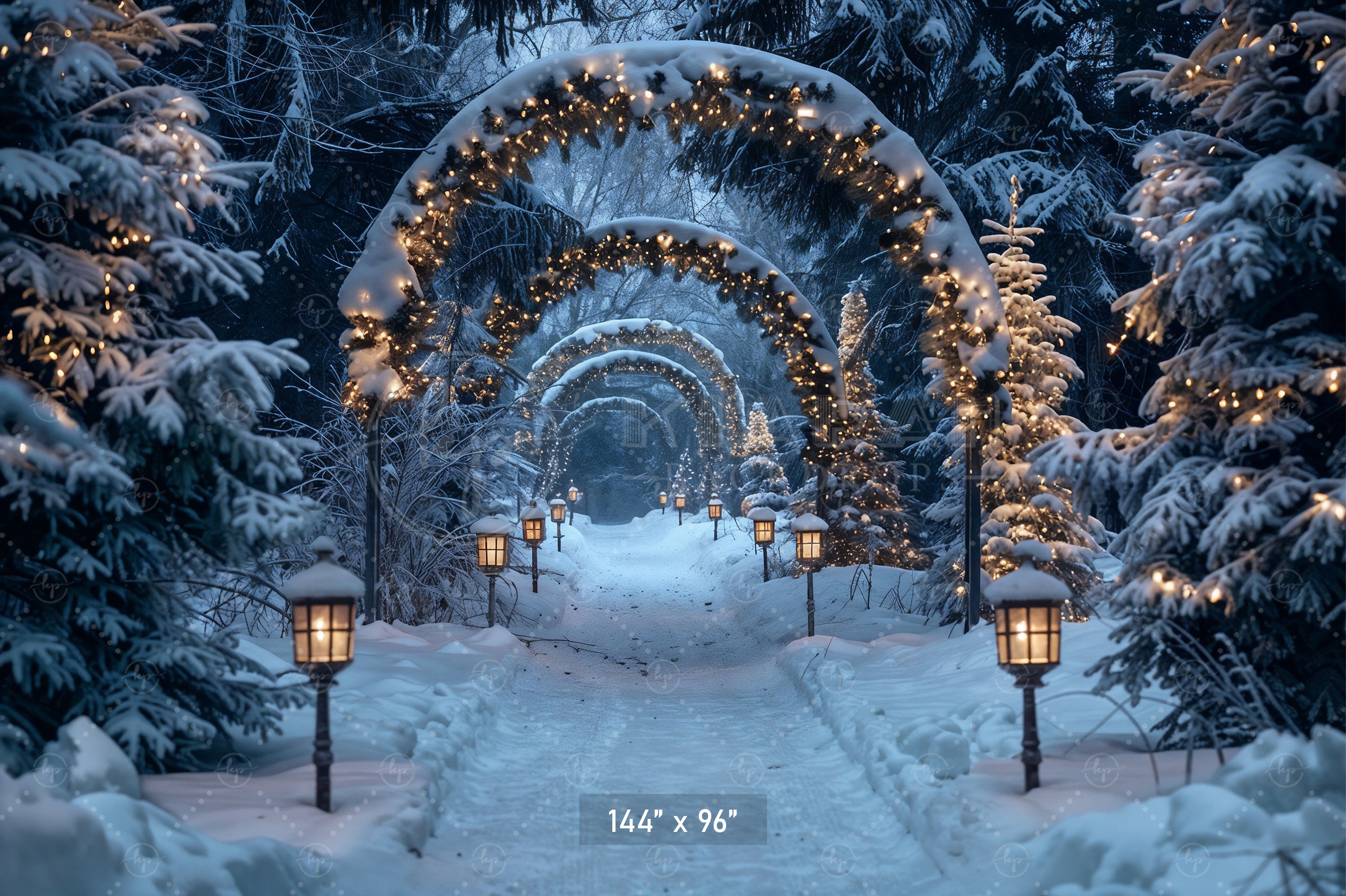 Enchanted Forest Christmas Pathway Backdrop