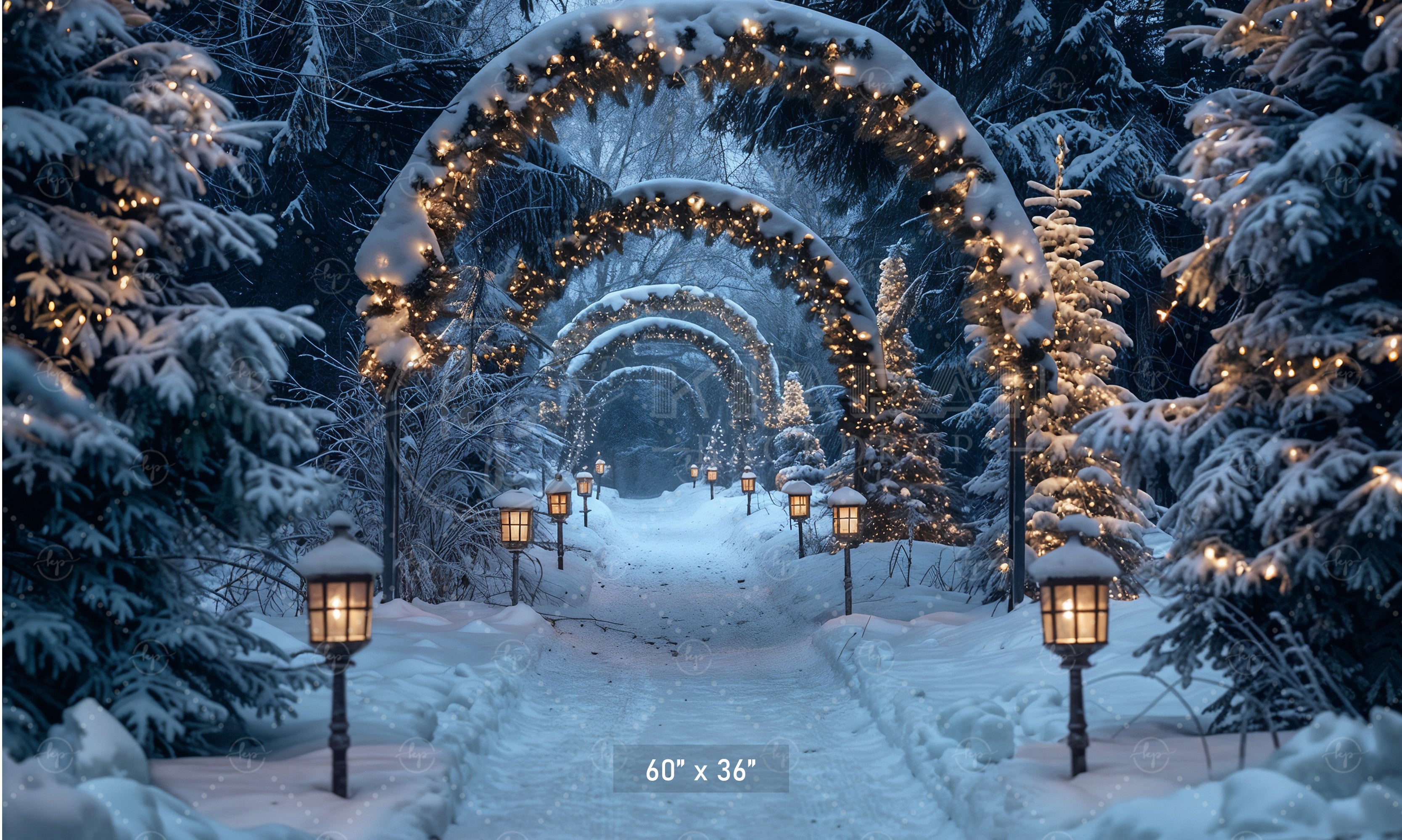 Enchanted Forest Christmas Pathway Backdrop