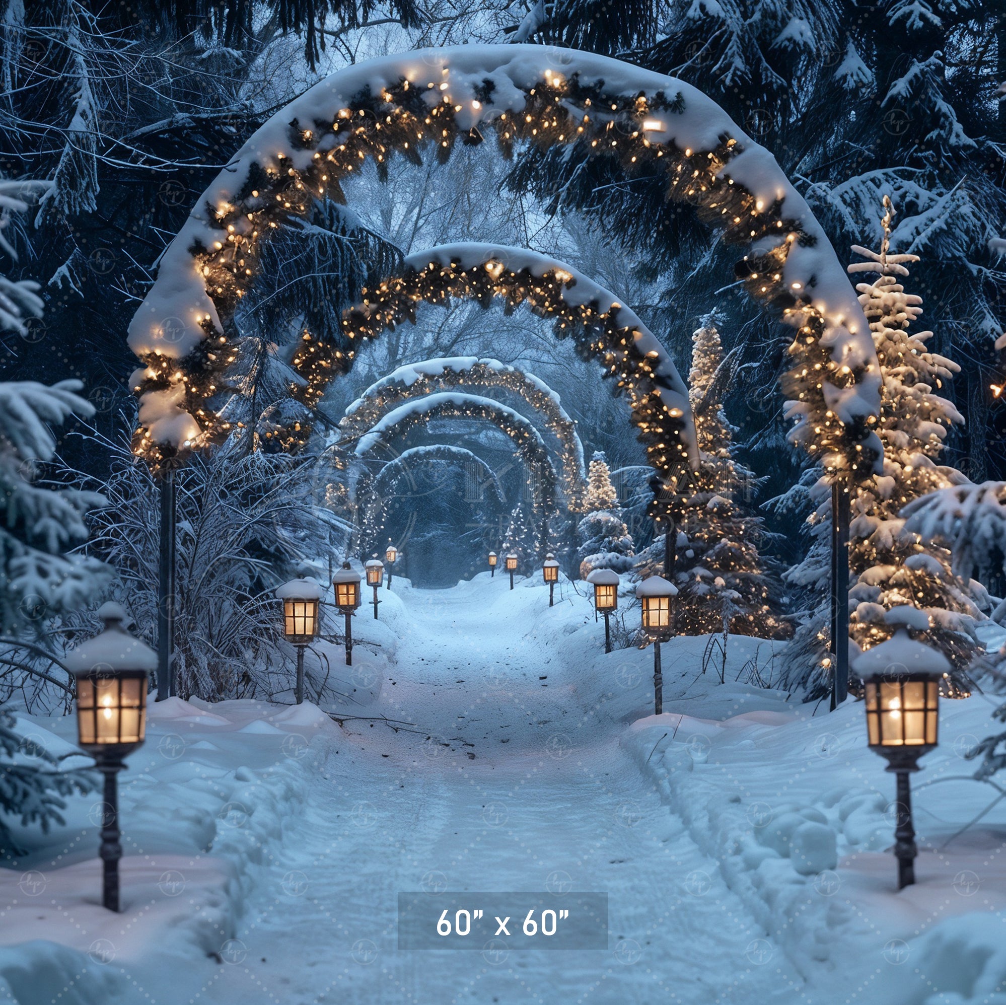 Enchanted Forest Christmas Pathway Backdrop