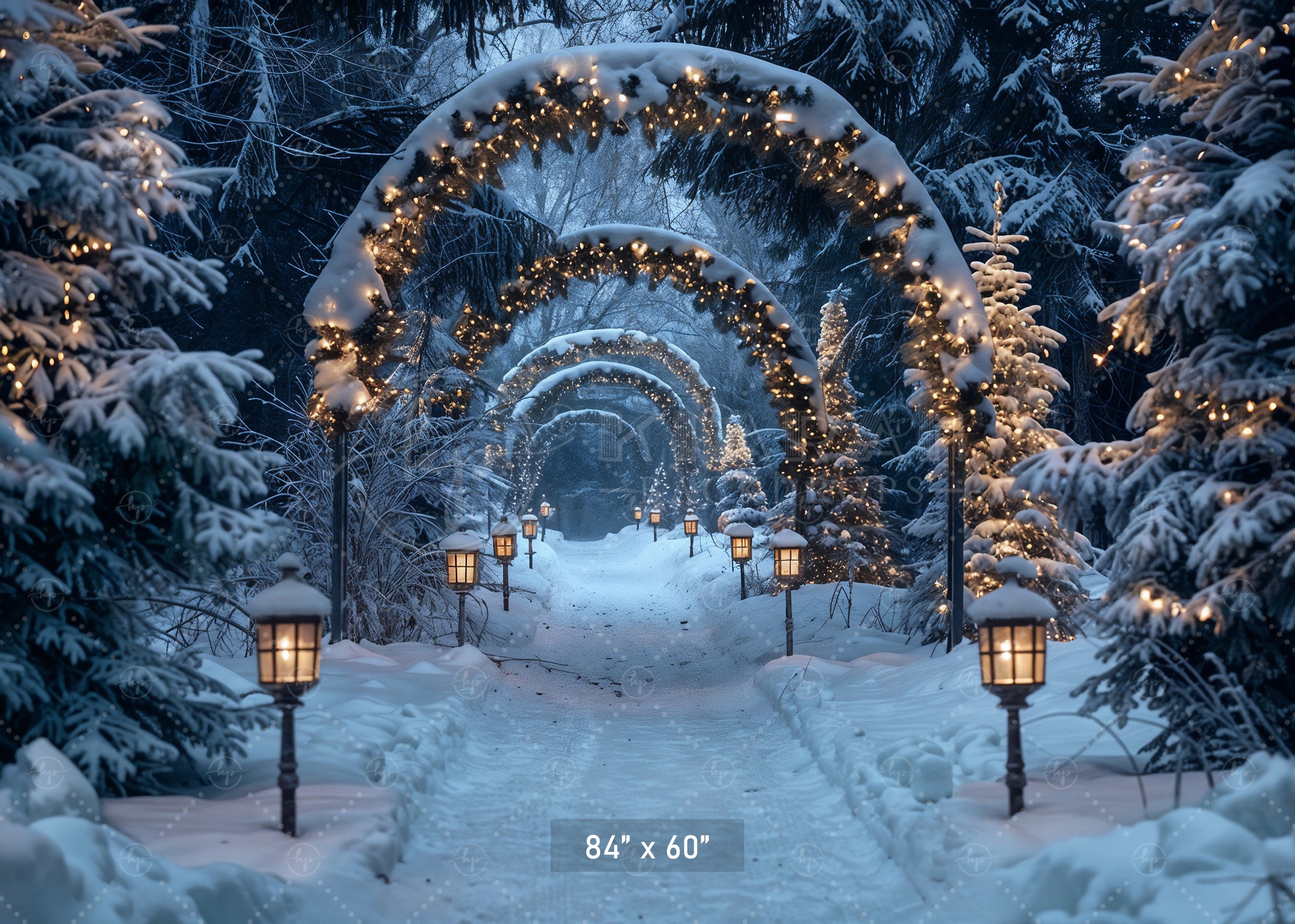 Enchanted Forest Christmas Pathway Backdrop