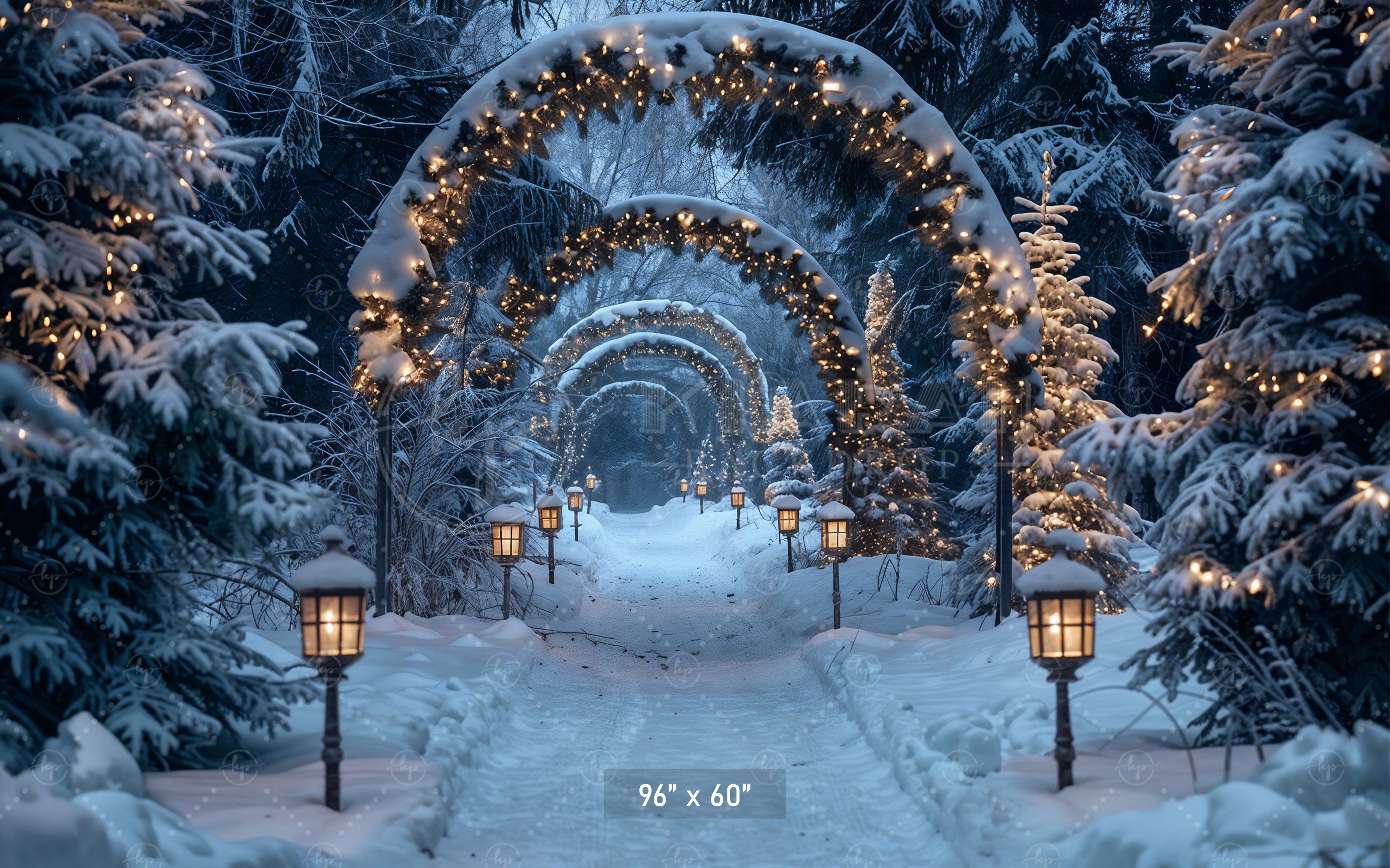 Enchanted Forest Christmas Pathway Backdrop