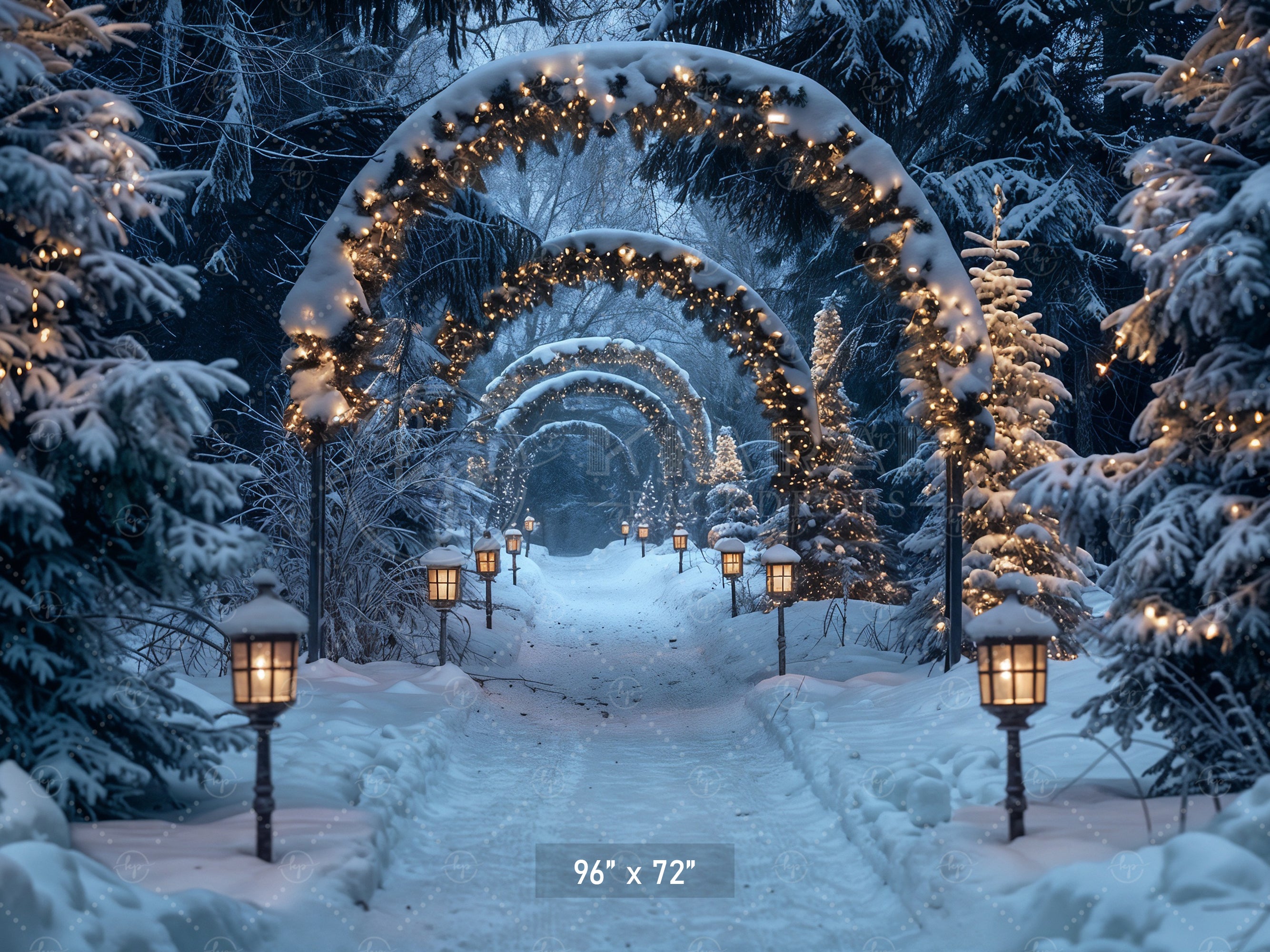 Enchanted Forest Christmas Pathway Backdrop