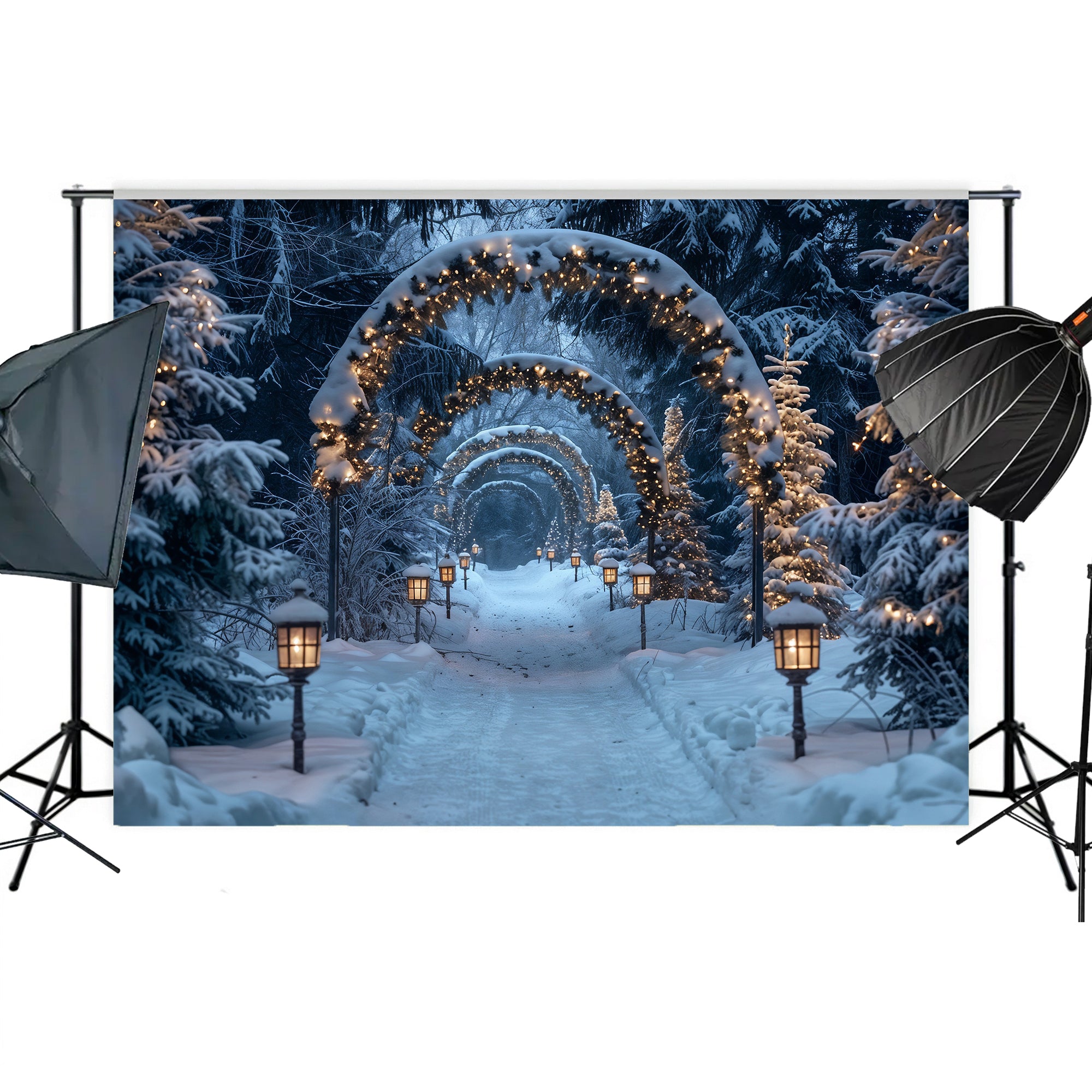 Enchanted Forest Christmas Pathway Backdrop