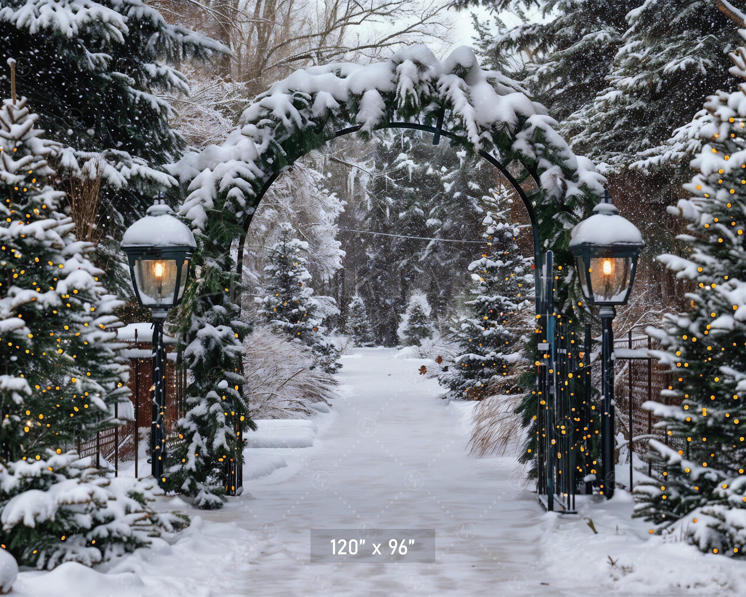 Winter Archway Path Backdrop