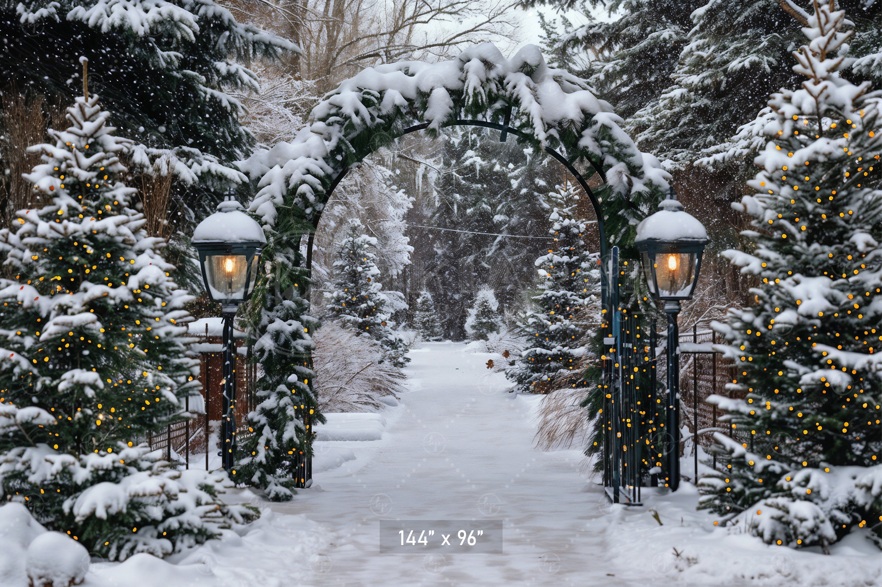 Winter Archway Path Backdrop